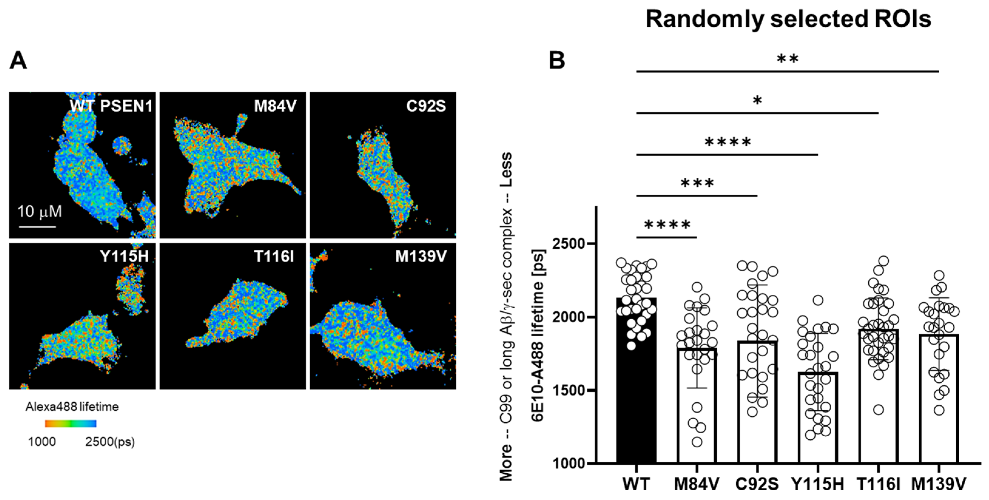 Biomolecules 15 00955 g004