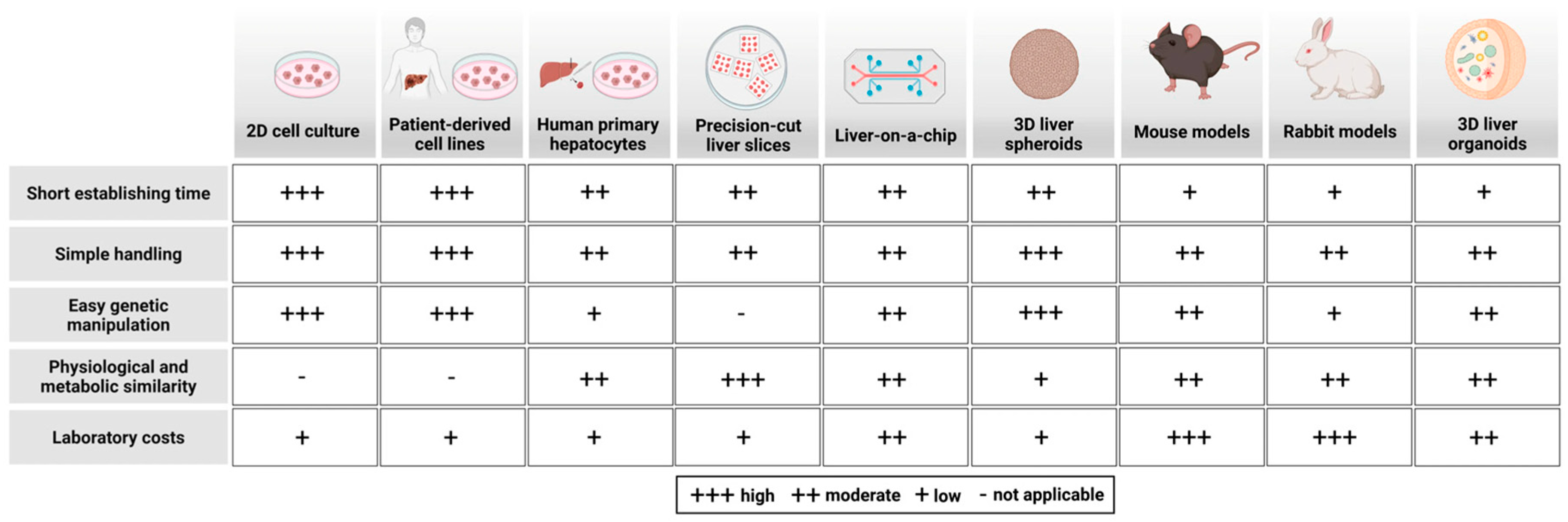Biomolecules 15 00956 g001