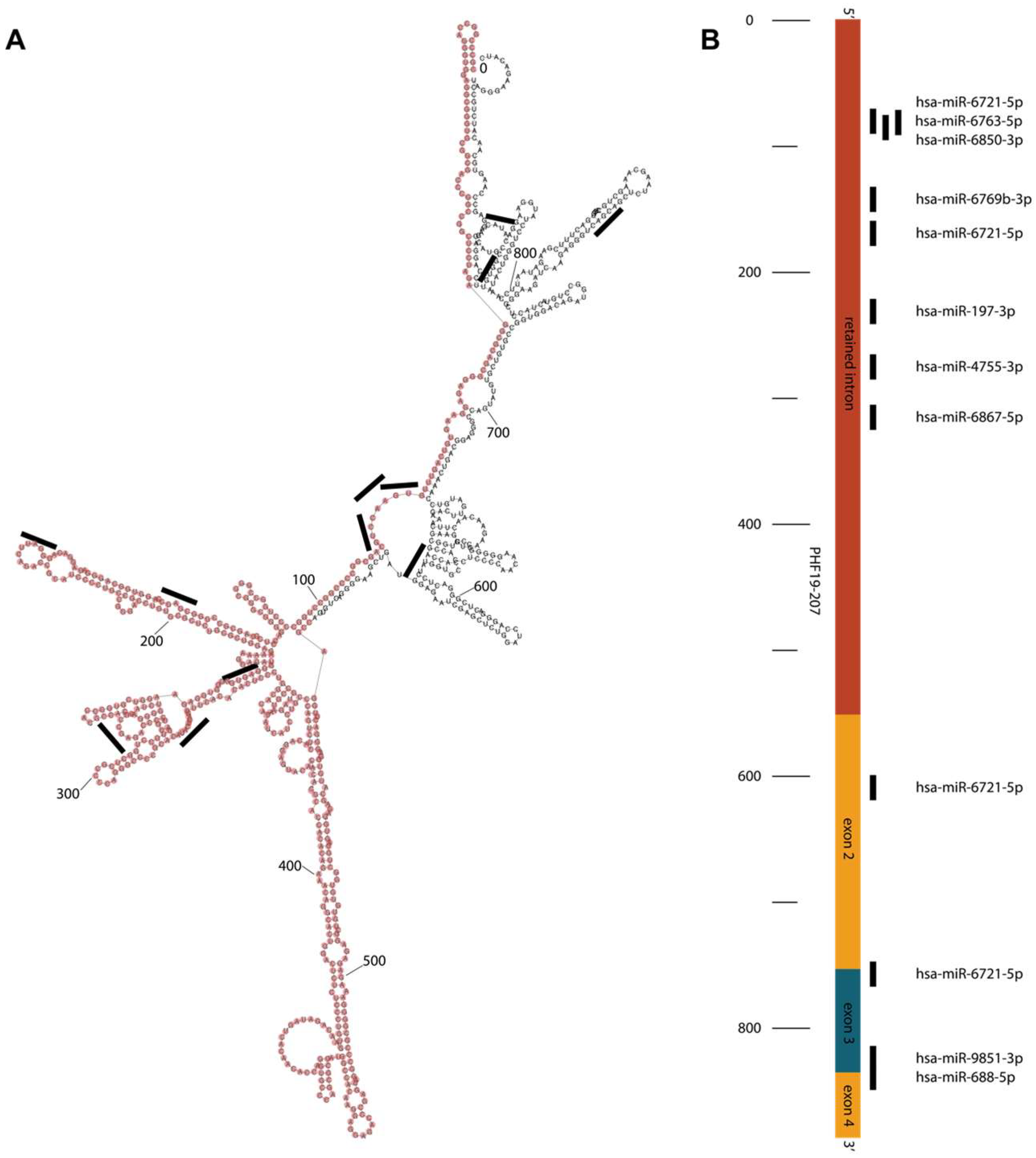 Biomolecules 15 00957 g002