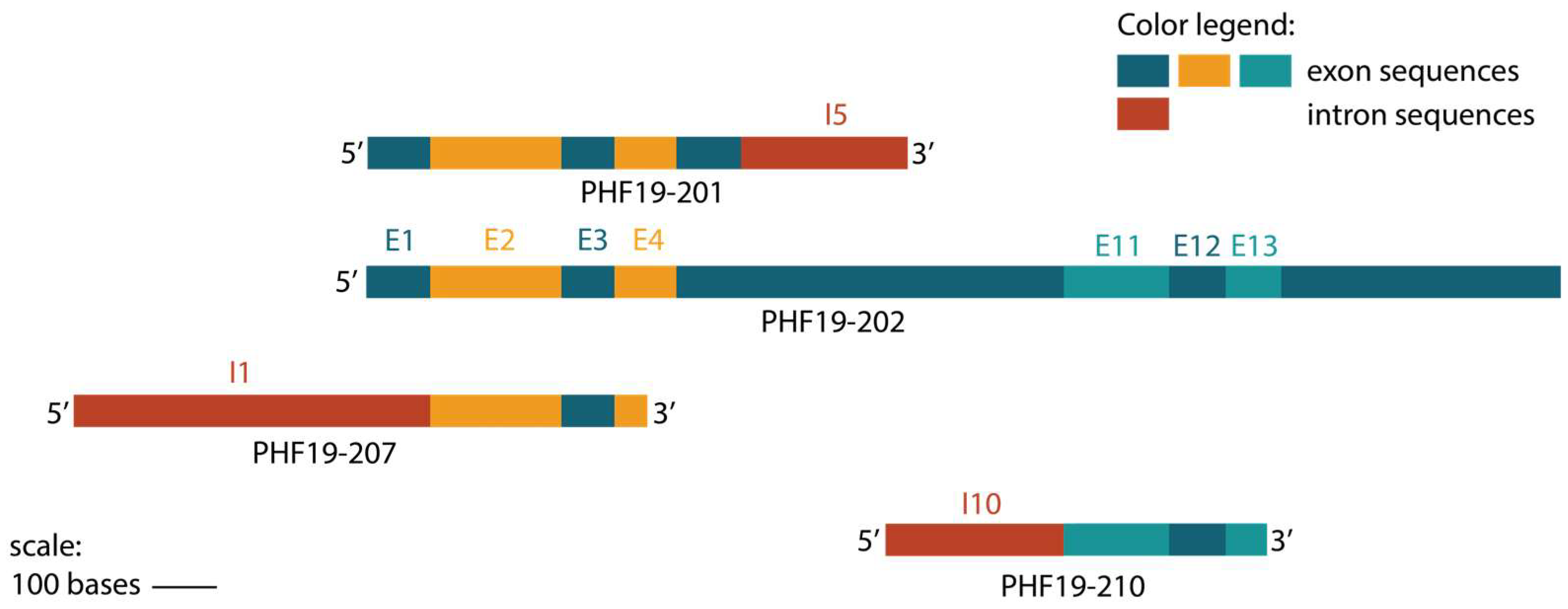 Biomolecules 15 00957 g005