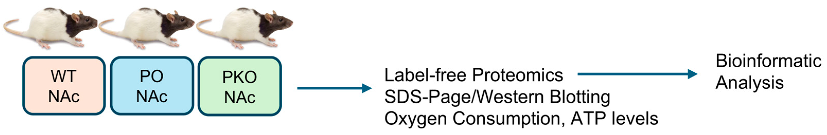 Biomolecules 15 00958 g001