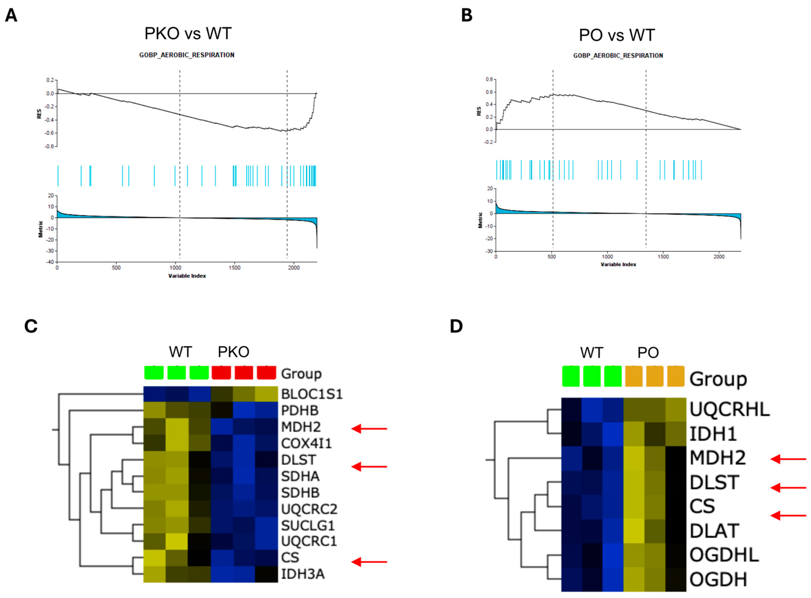 Biomolecules 15 00958 g003