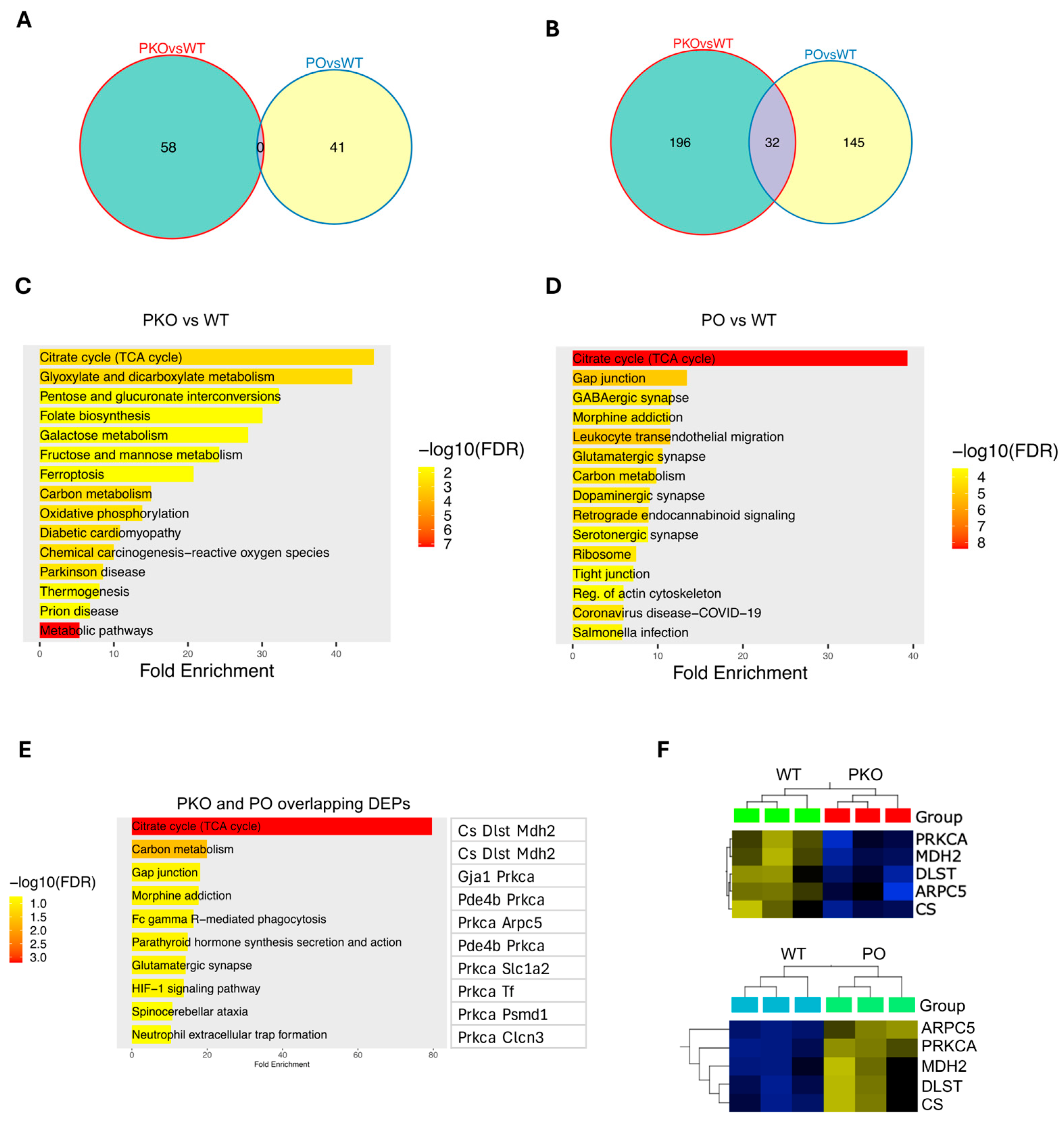 Biomolecules 15 00958 g004