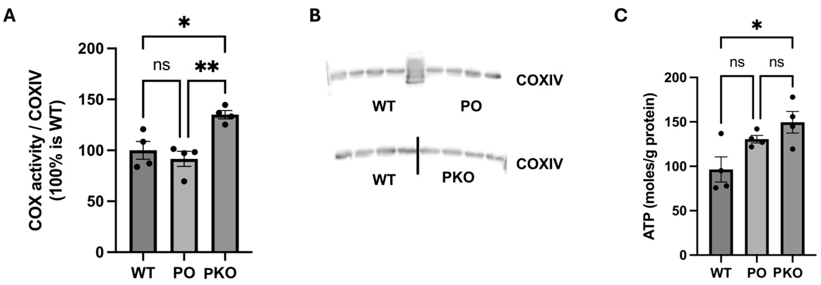 Biomolecules 15 00958 g007