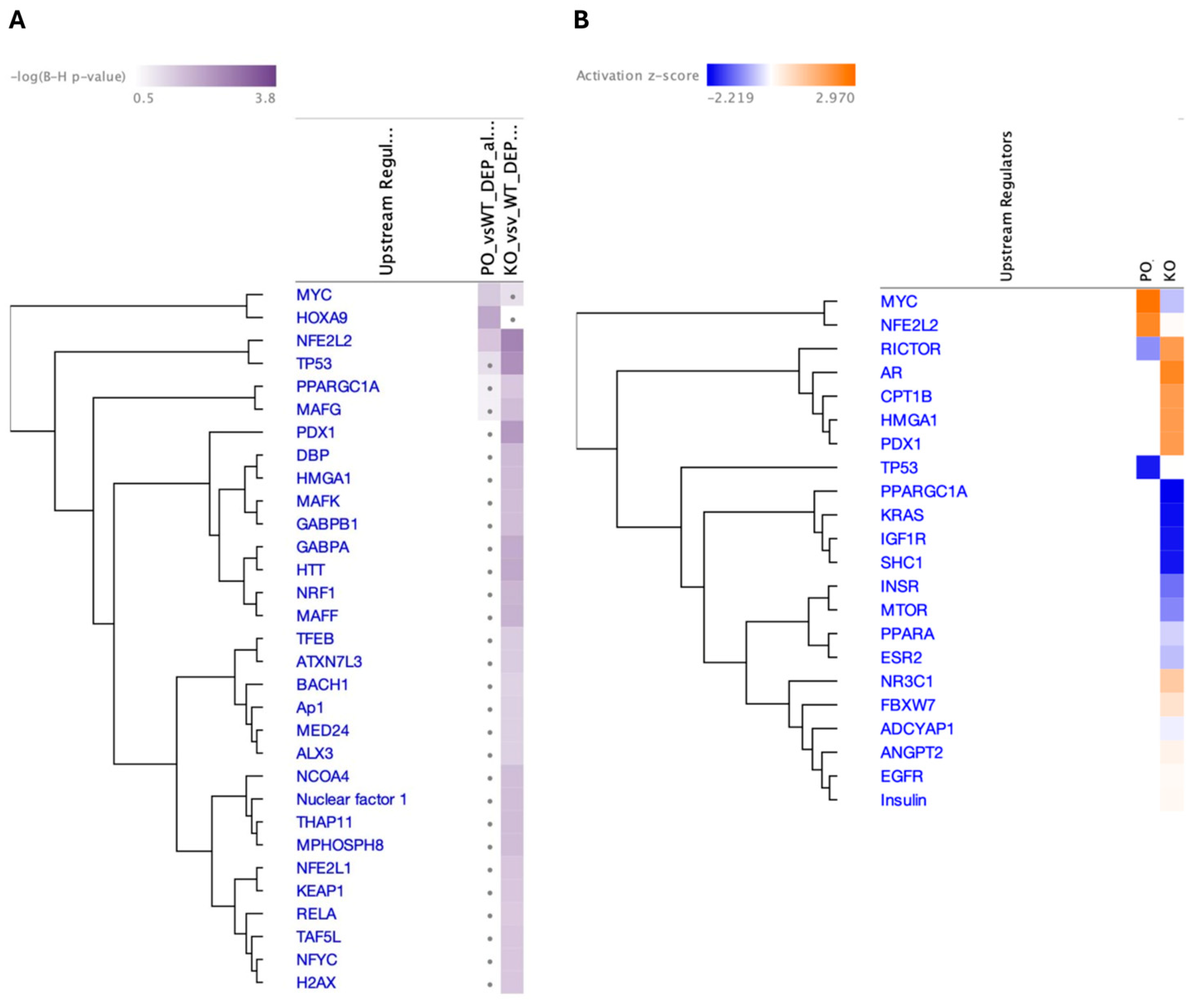 Biomolecules 15 00958 g008