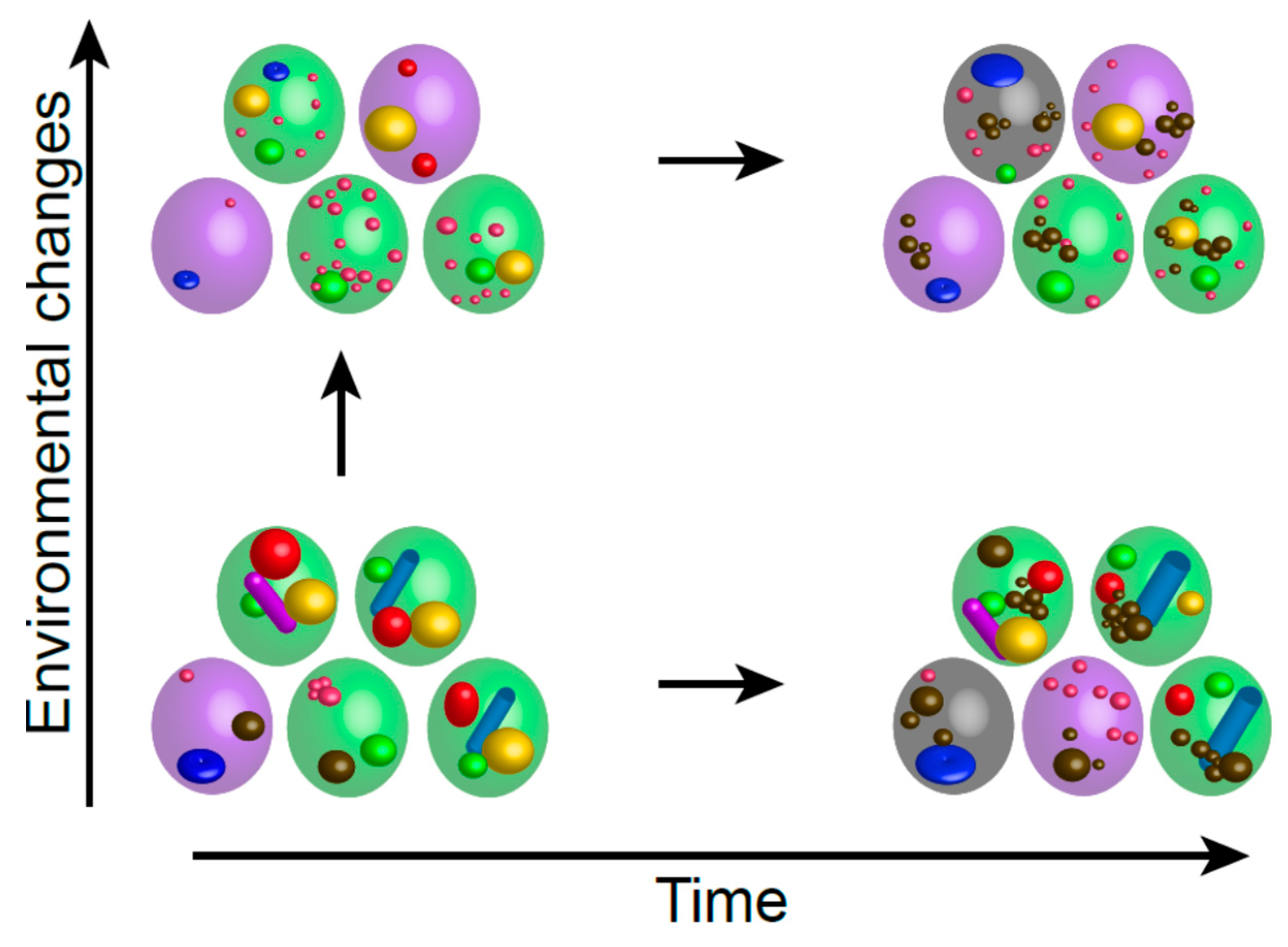 Biomolecules 15 00960 g001 Biomolecules 15 00960 g001