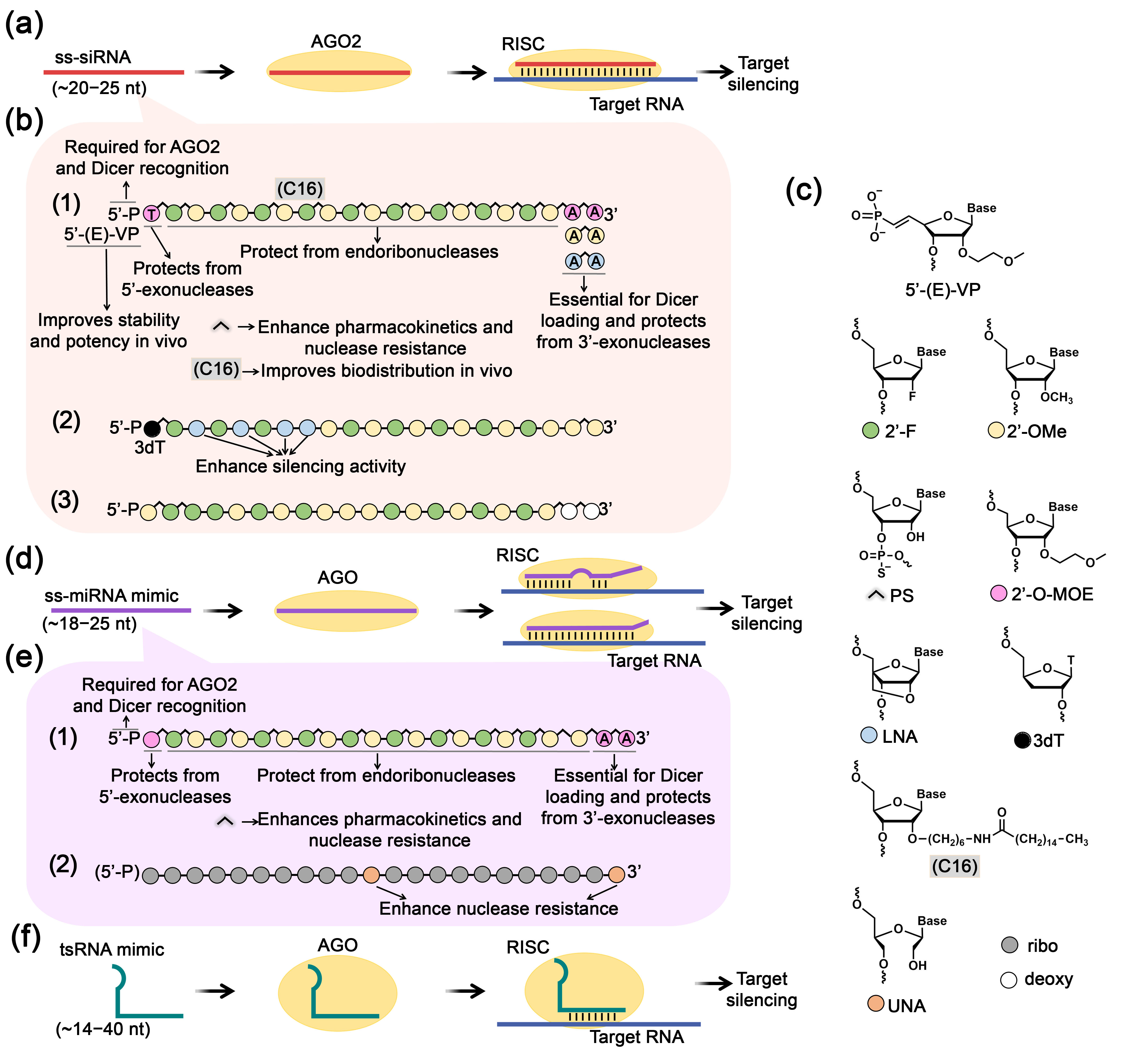 Biomolecules 15 00965 g005