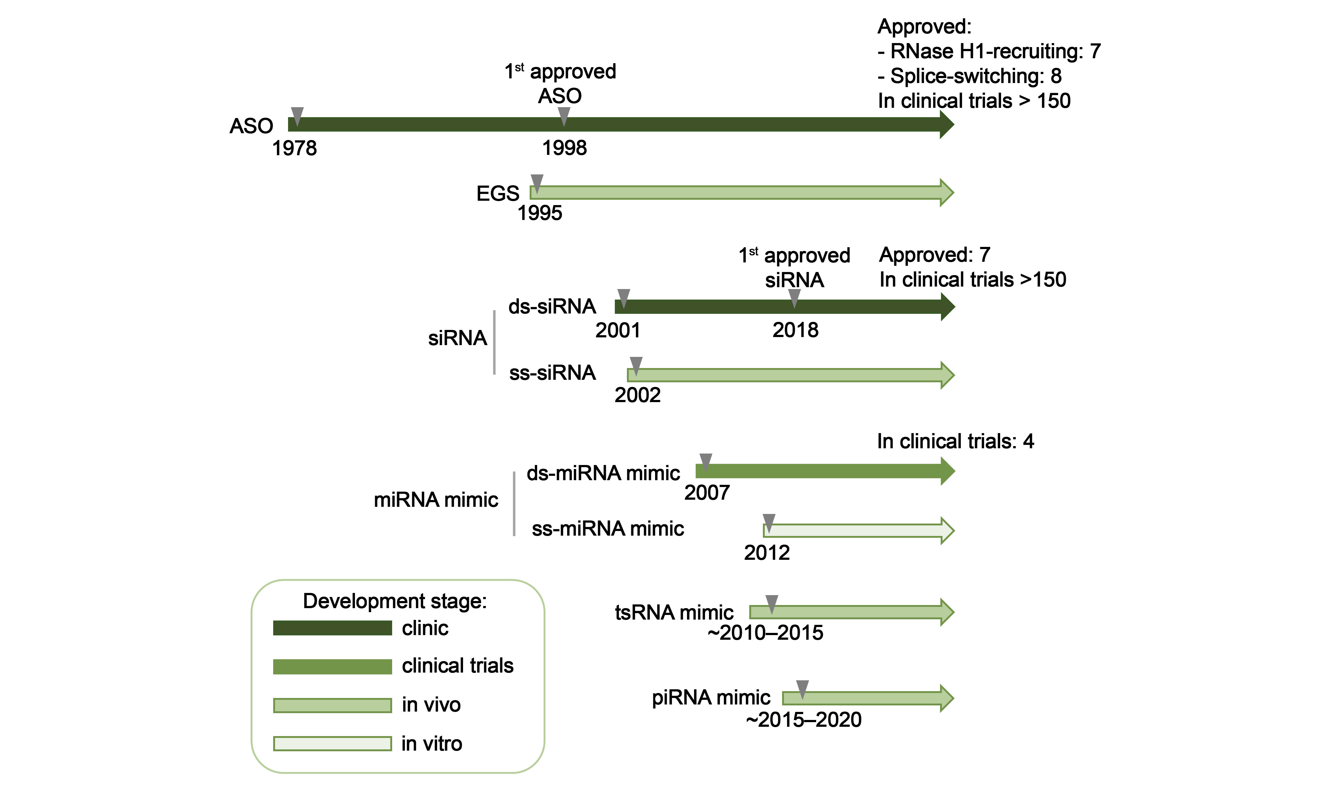 Biomolecules 15 00965 g008