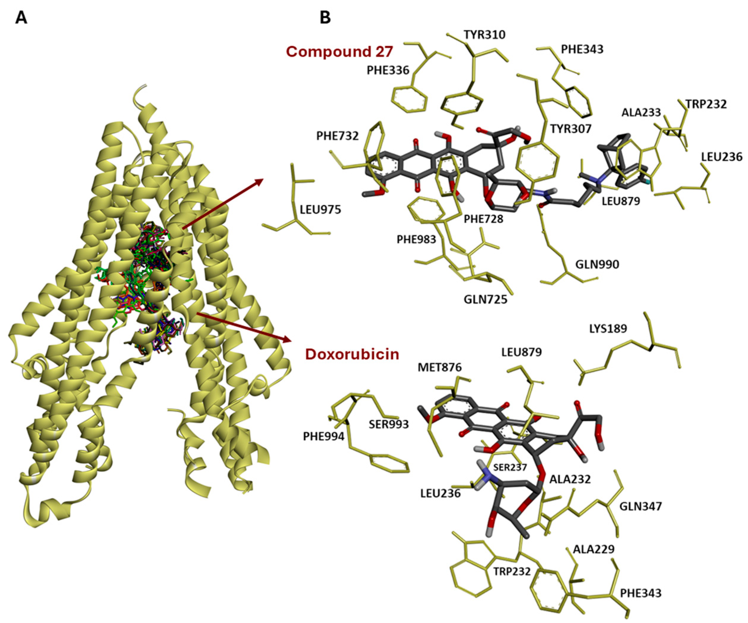 Biomolecules 15 00971 g008