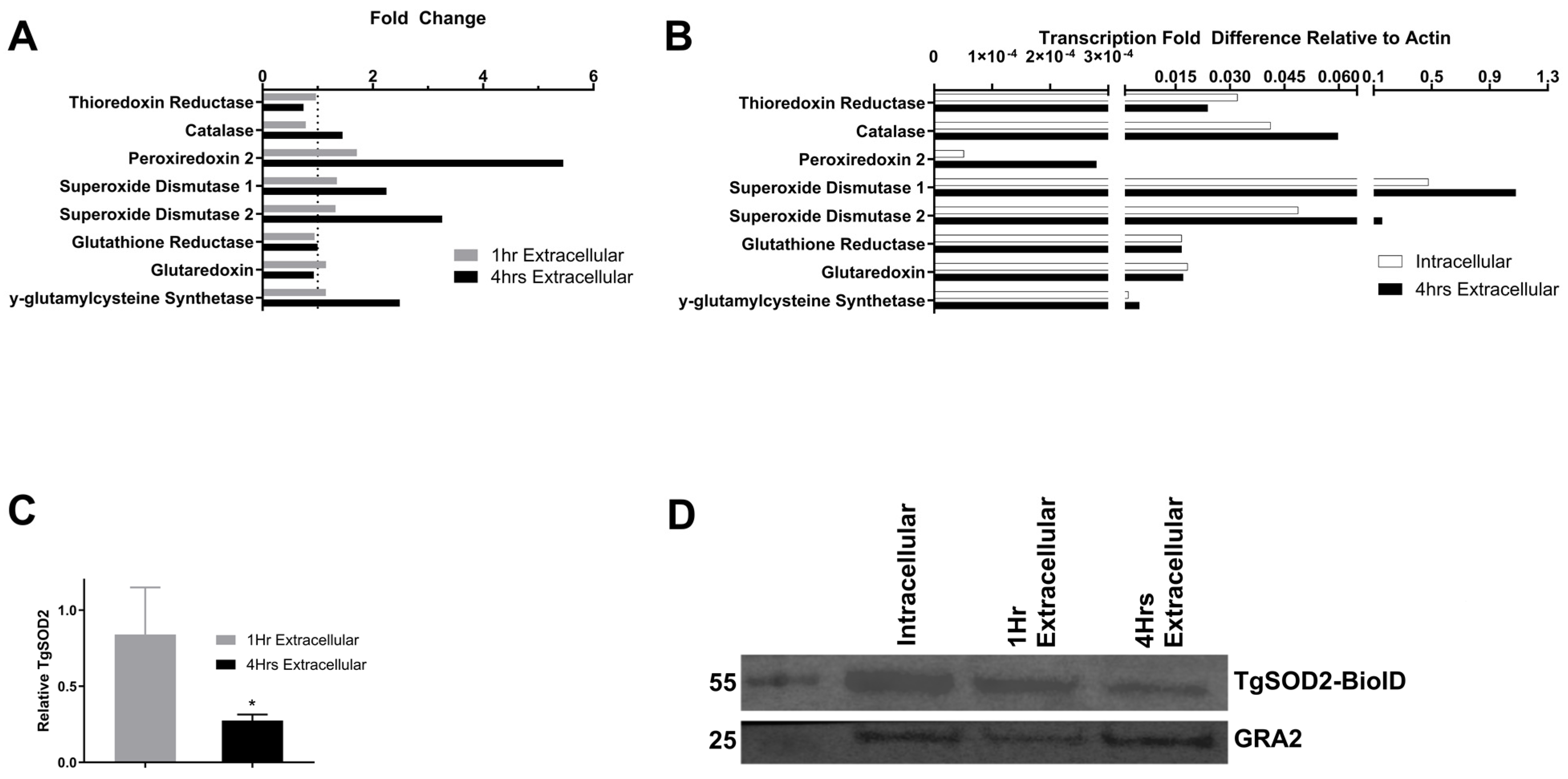 Biomolecules 15 00972 g001