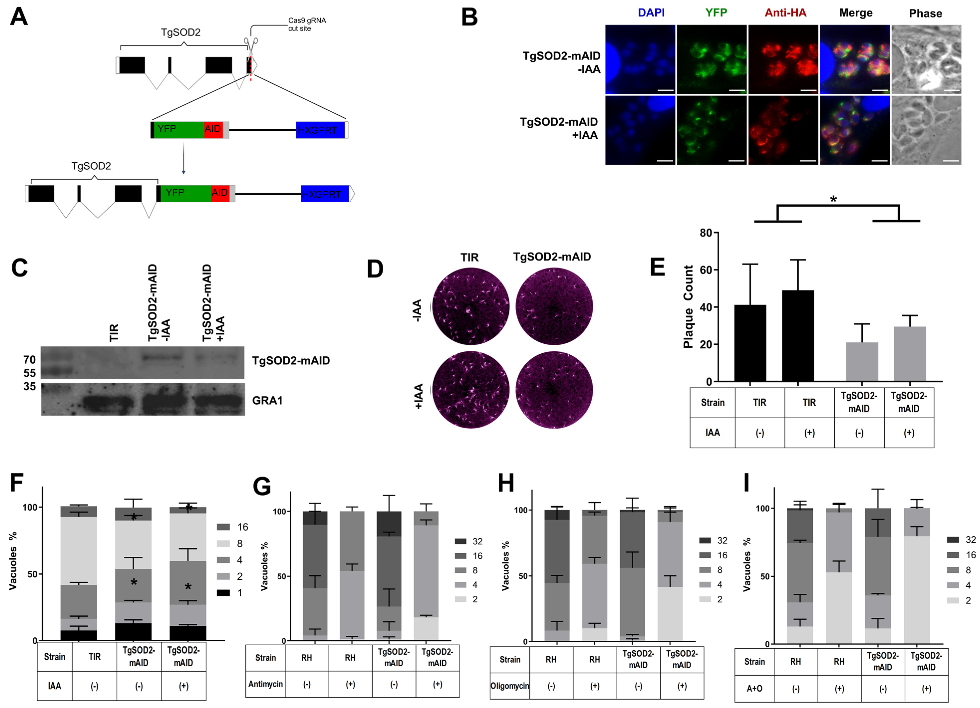 Biomolecules 15 00972 g002