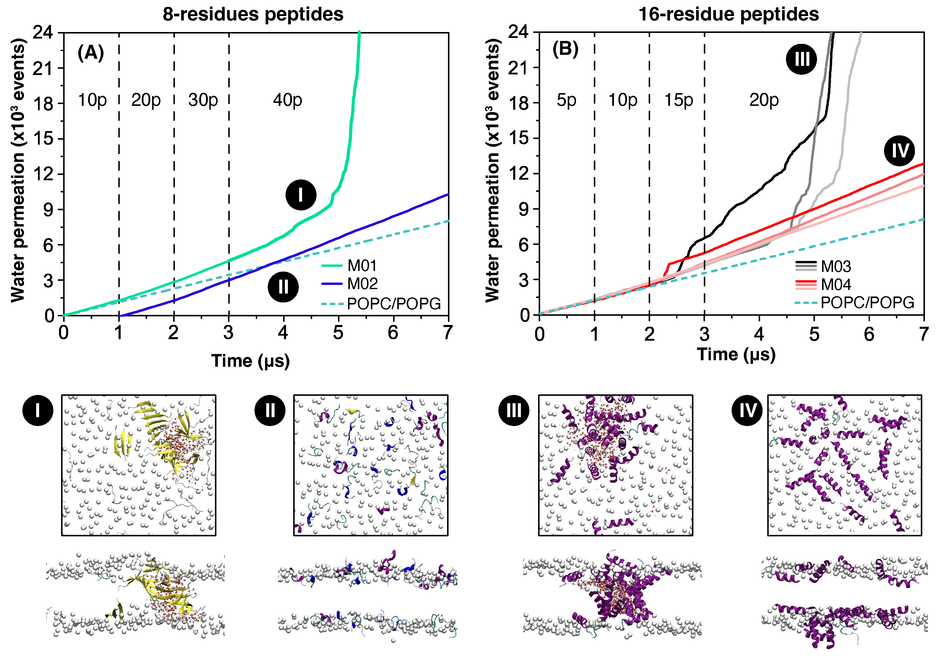 Biomolecules 15 00973 g002