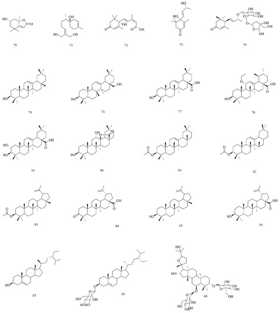 Viscum coloratum (Komar.) Nakai: A Review of Botany