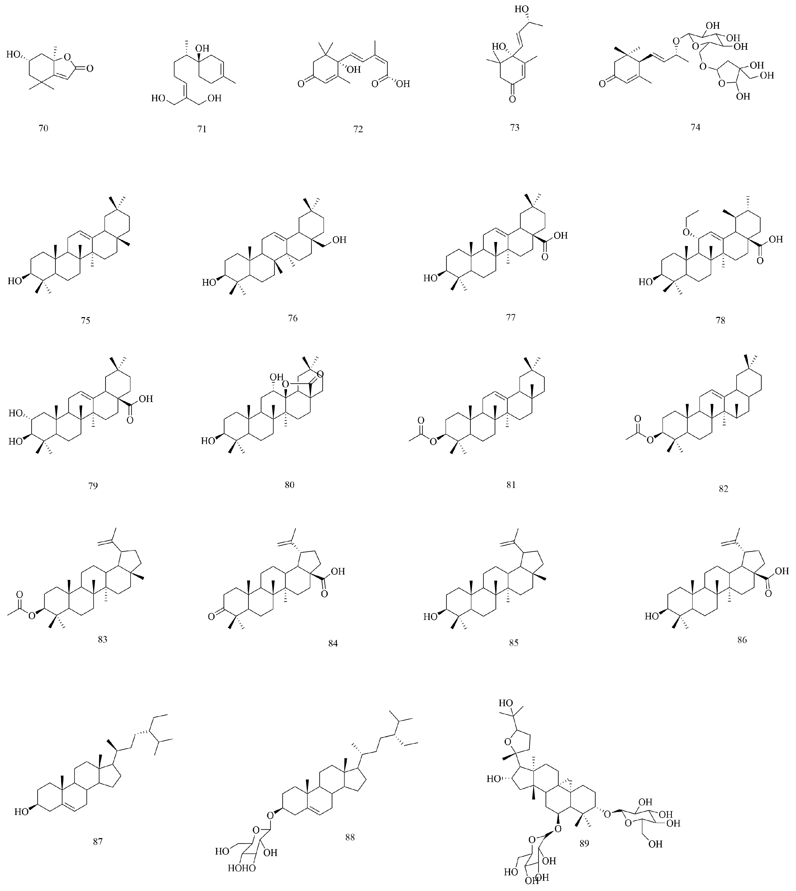 Biomolecules 15 00974 g005