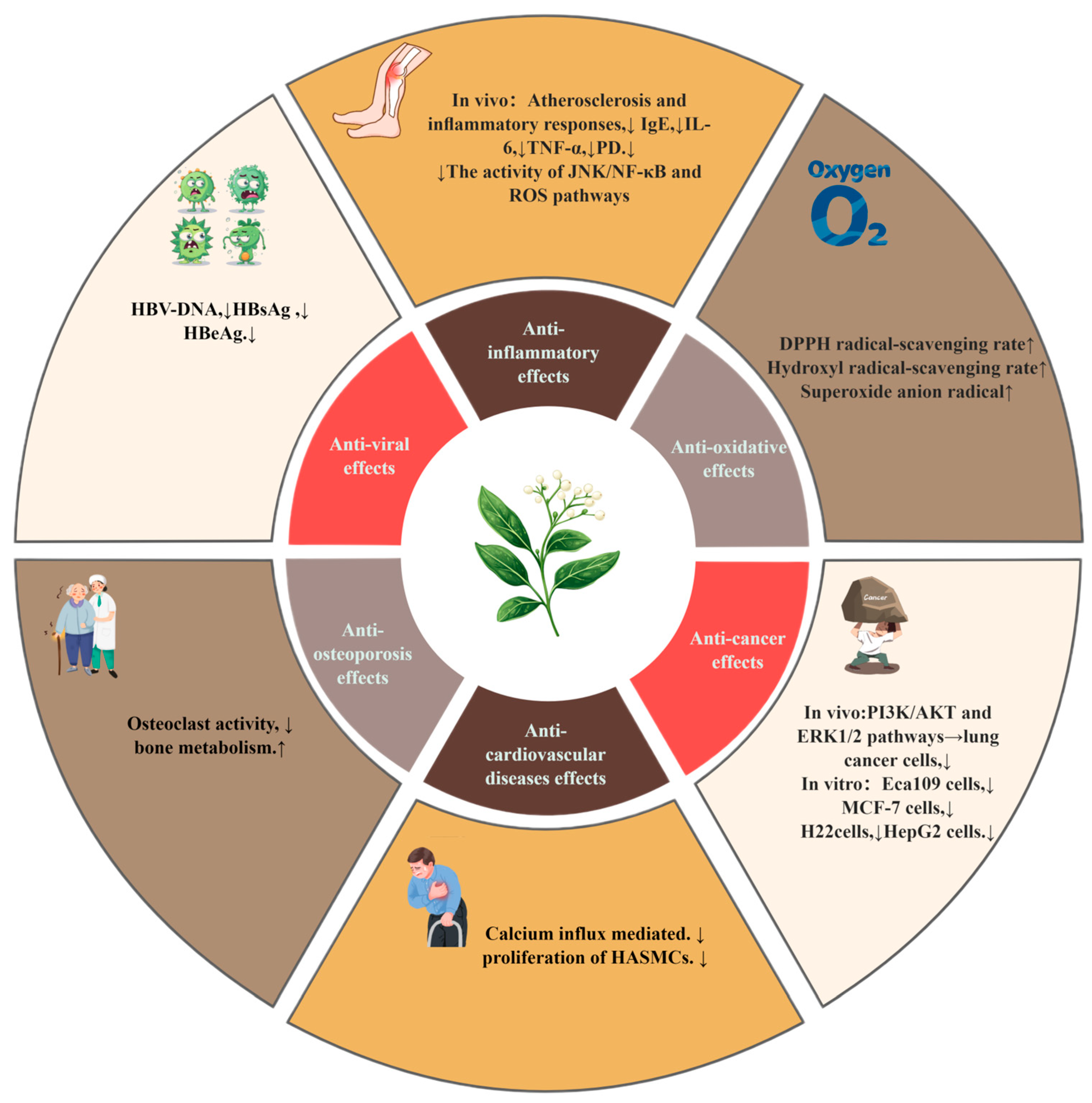 Biomolecules 15 00974 g008
