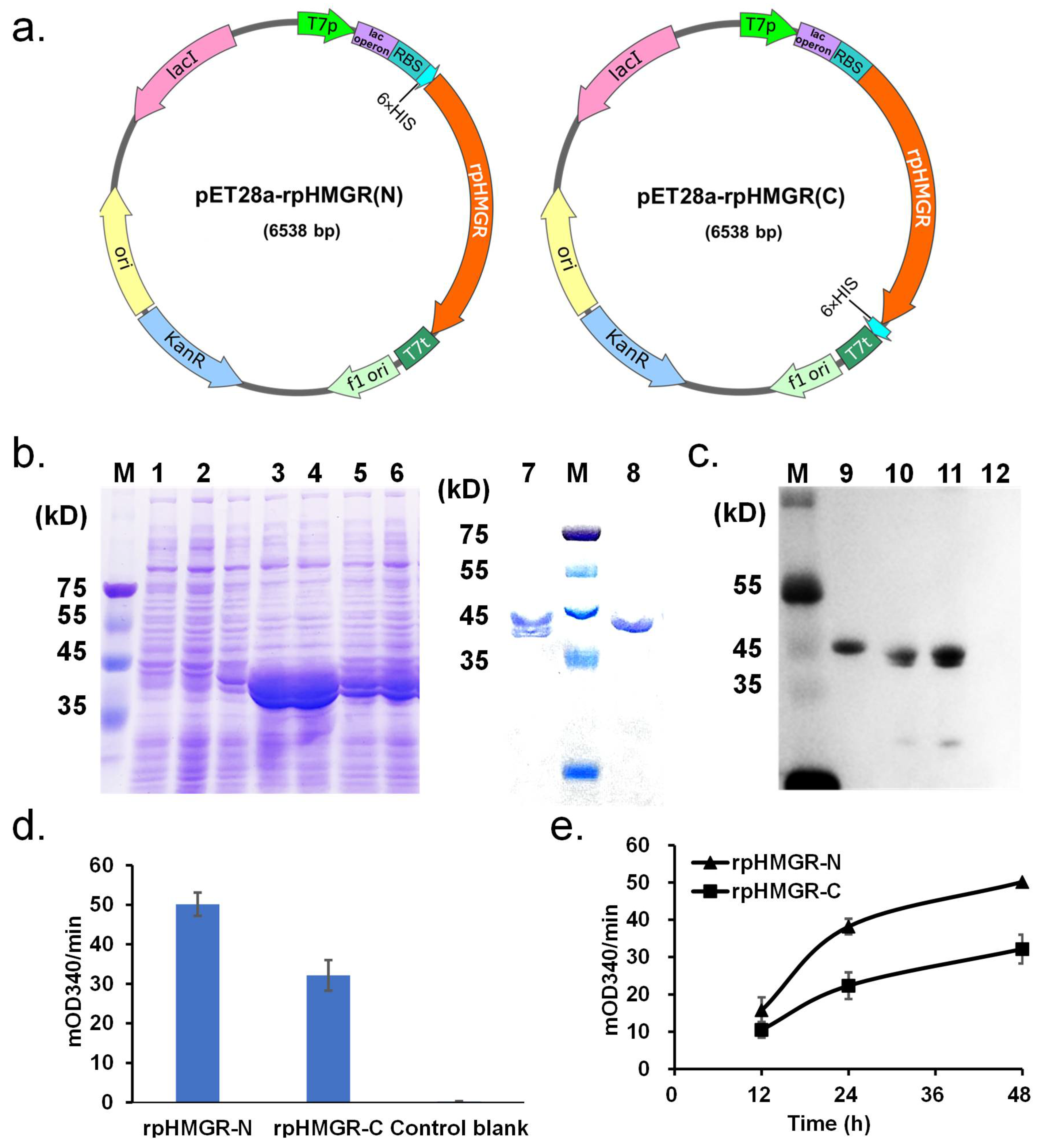 Biomolecules 15 00976 g002