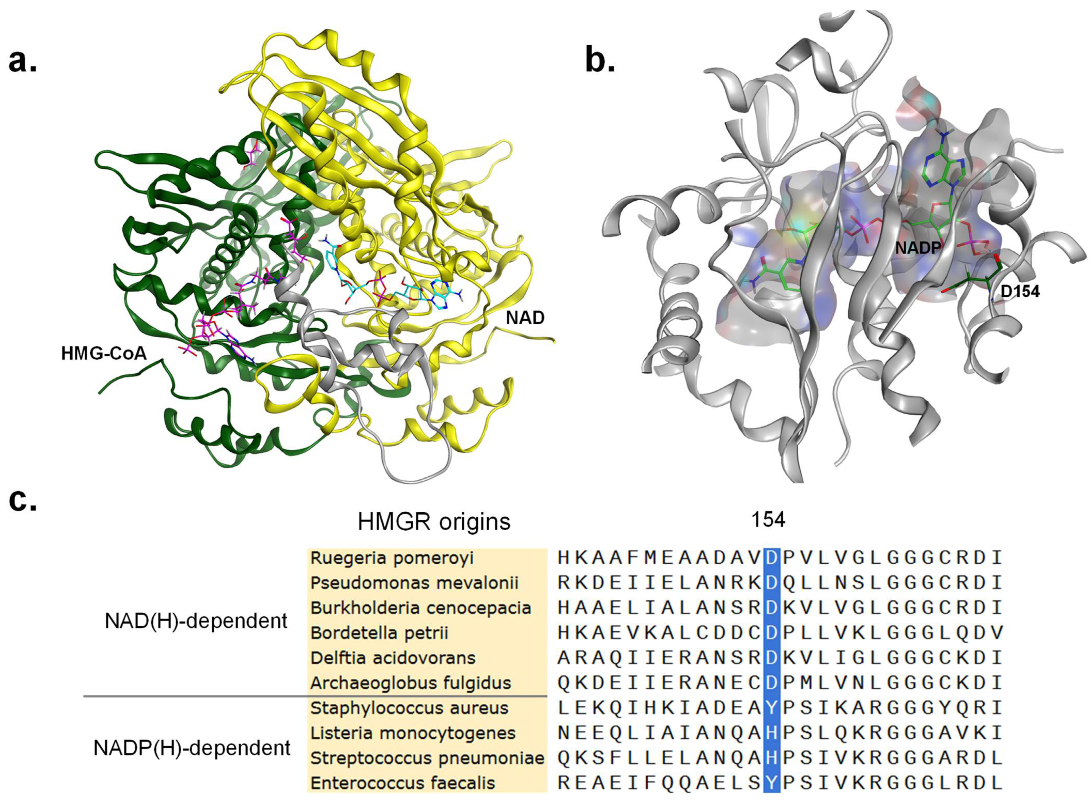 Biomolecules 15 00976 g003