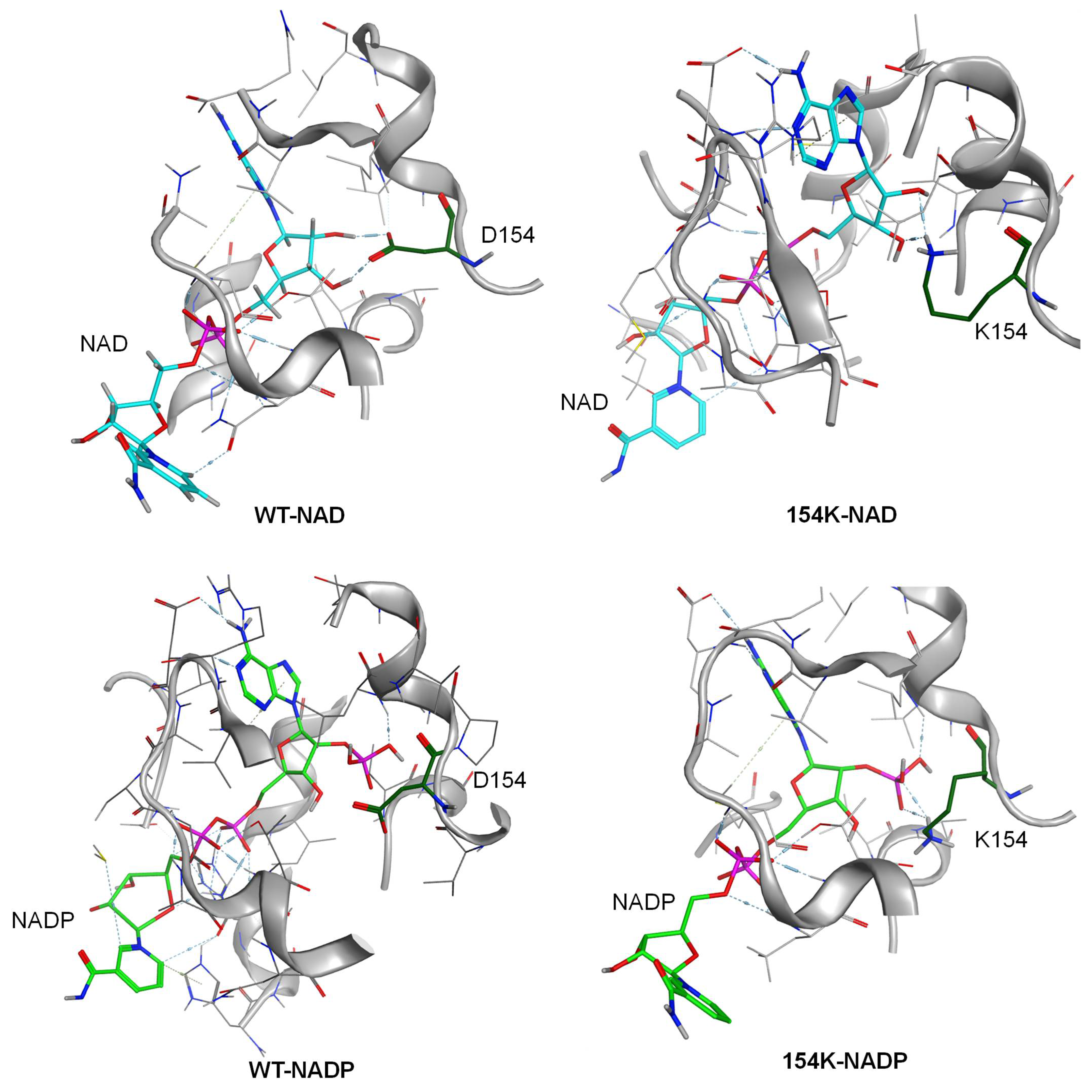 Biomolecules 15 00976 g004