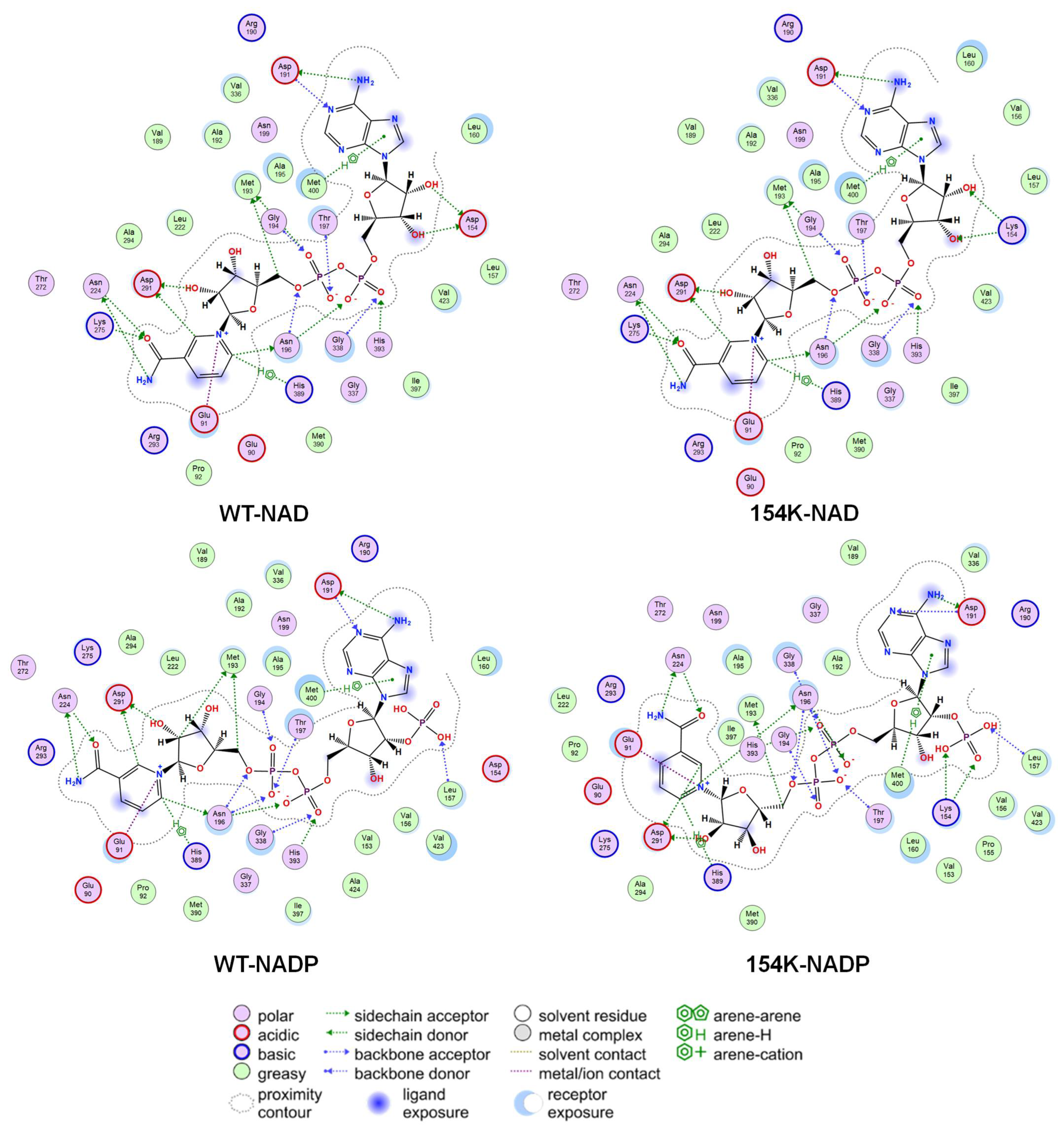Biomolecules 15 00976 g006