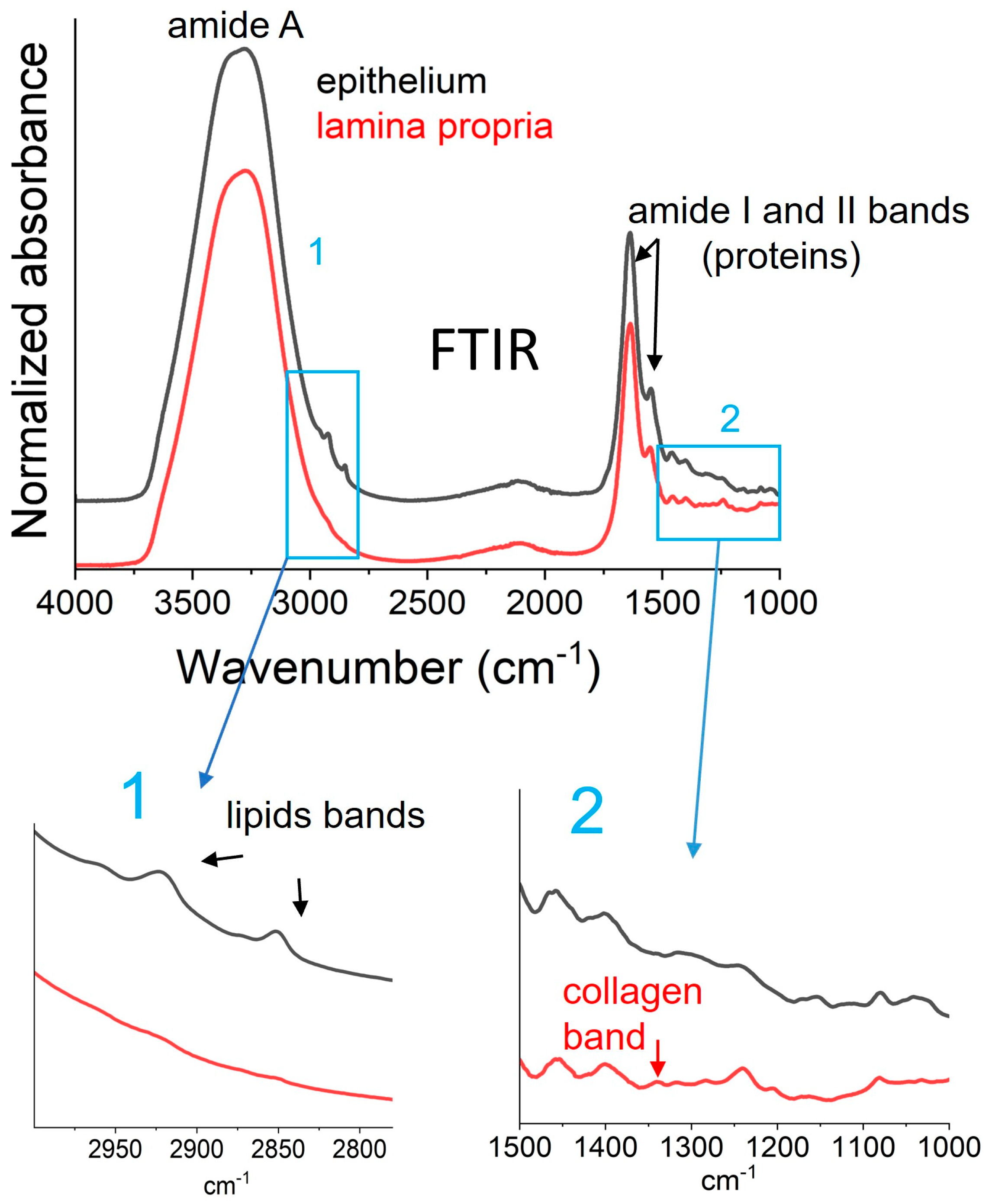 Biomolecules 15 00978 g001