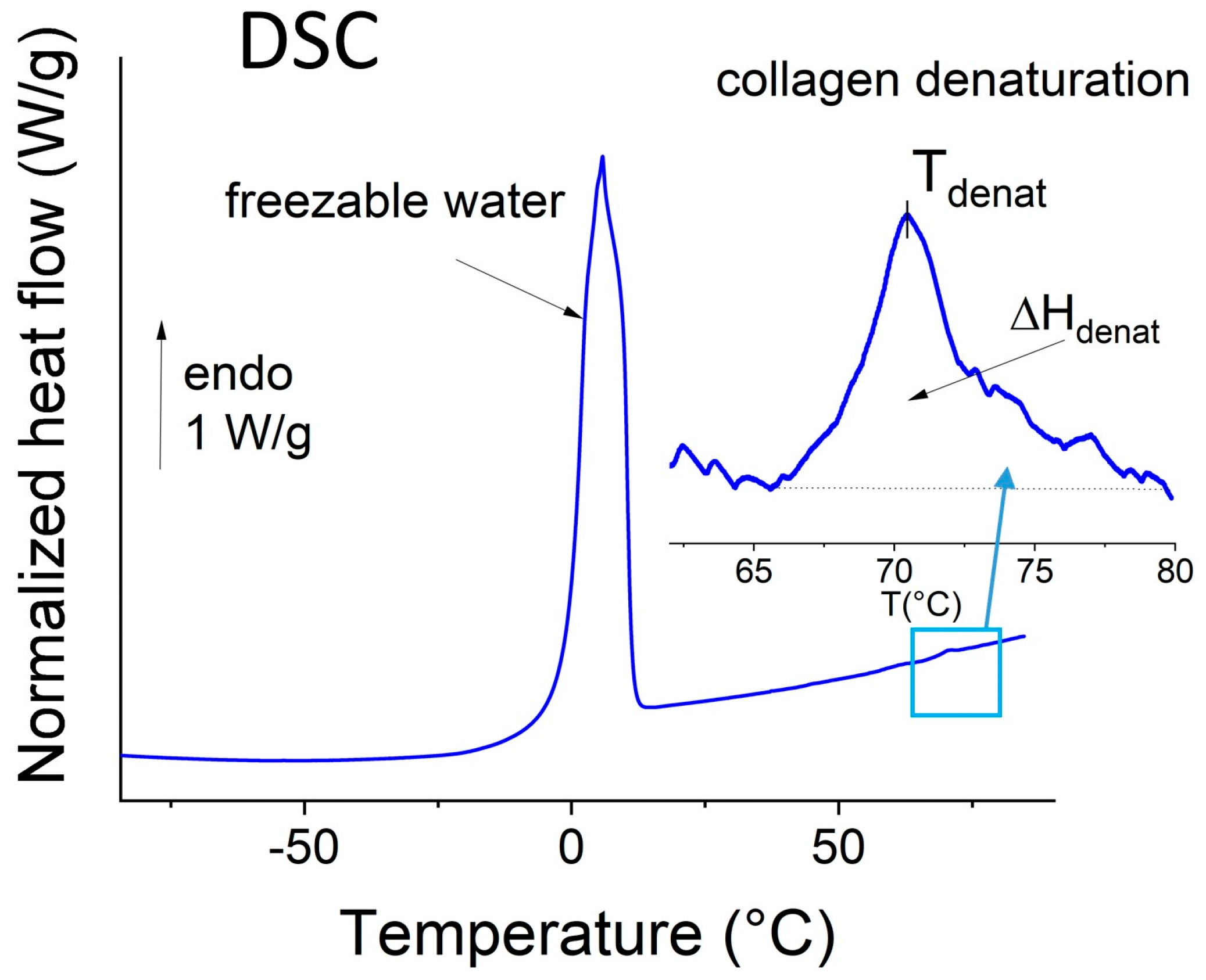 Biomolecules 15 00978 g002