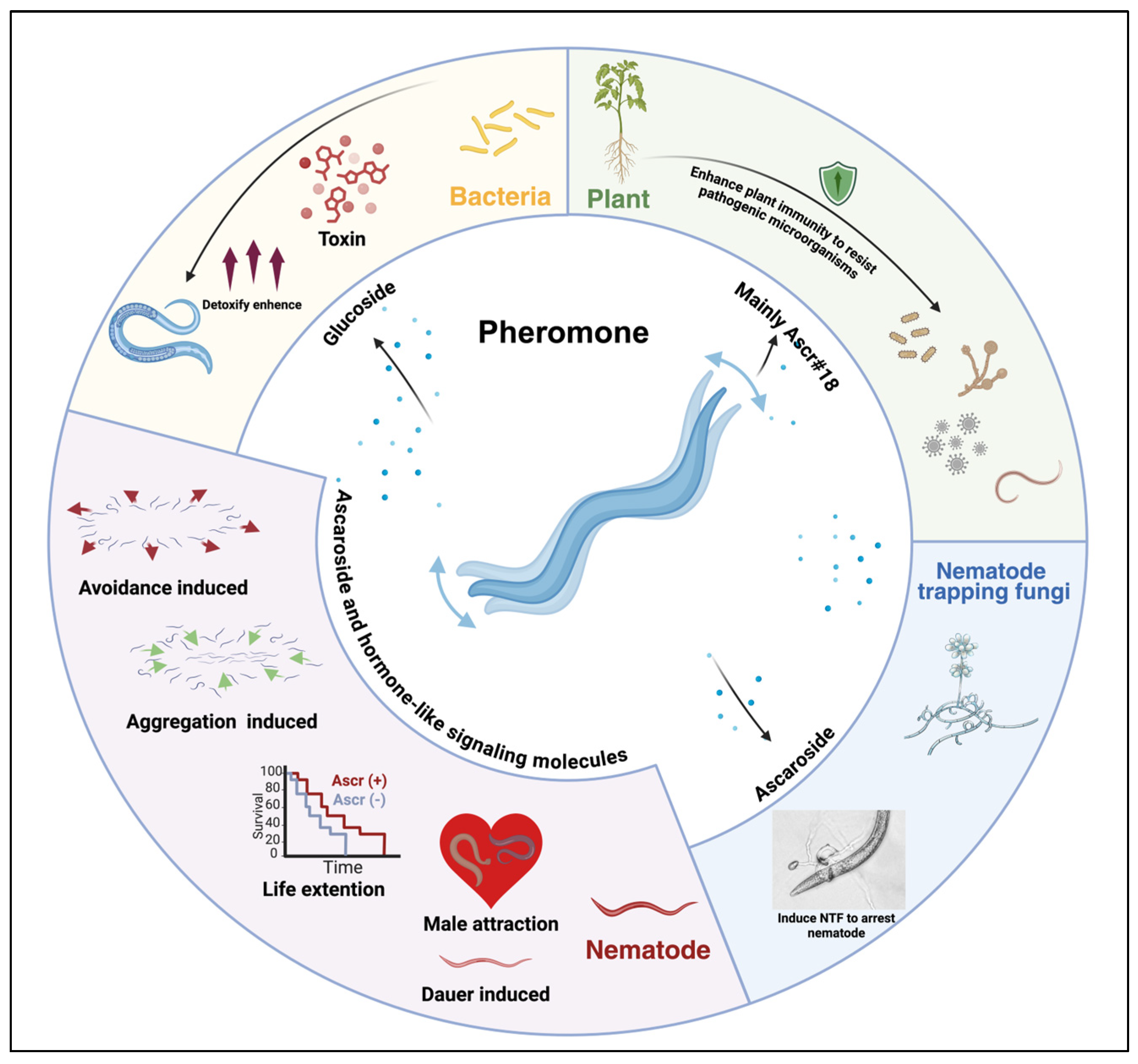 Biomolecules 15 00981 g001