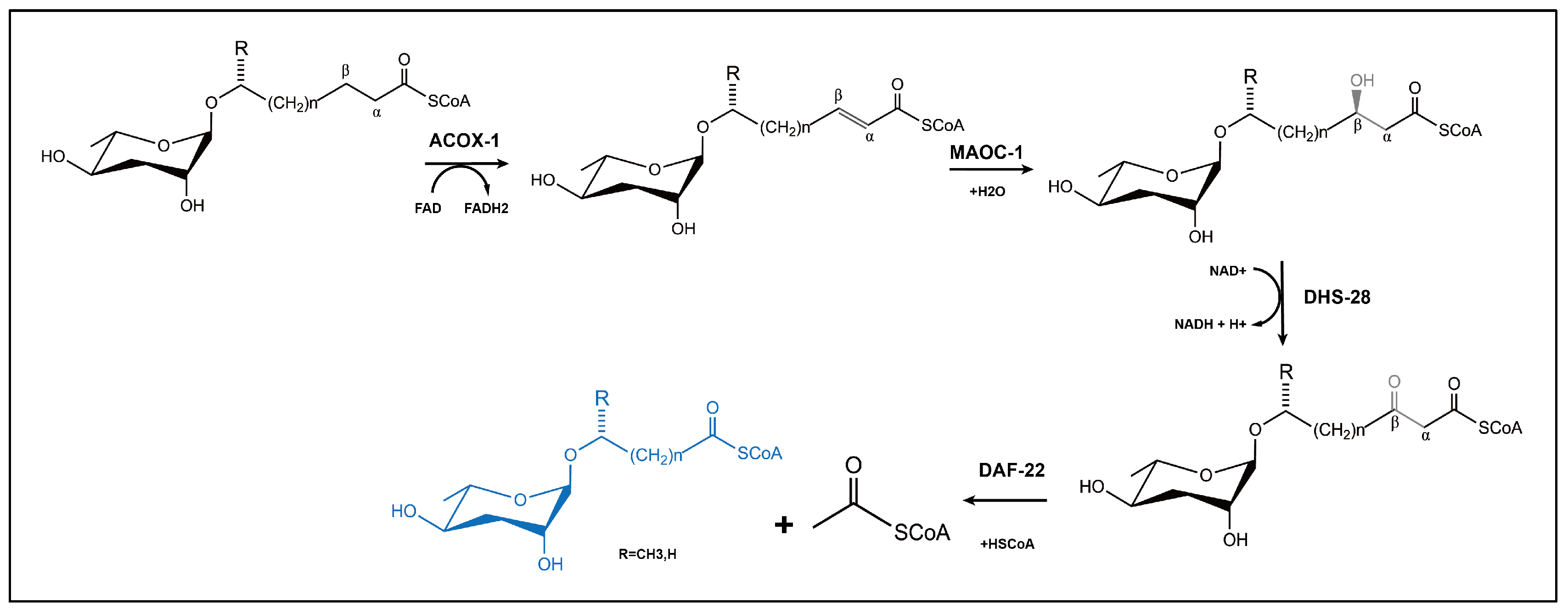 Biomolecules 15 00981 g004