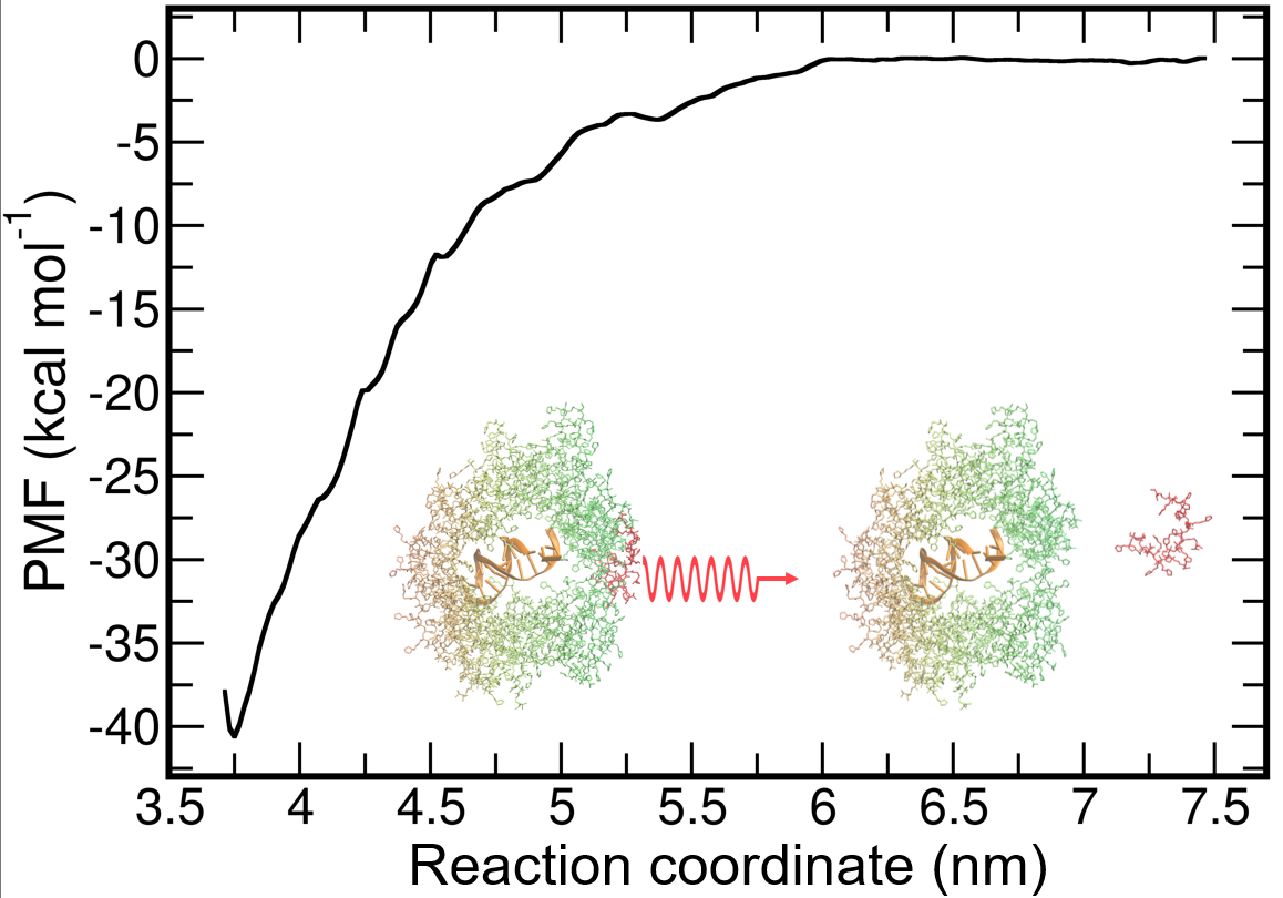 Biomolecules 15 00983 g004