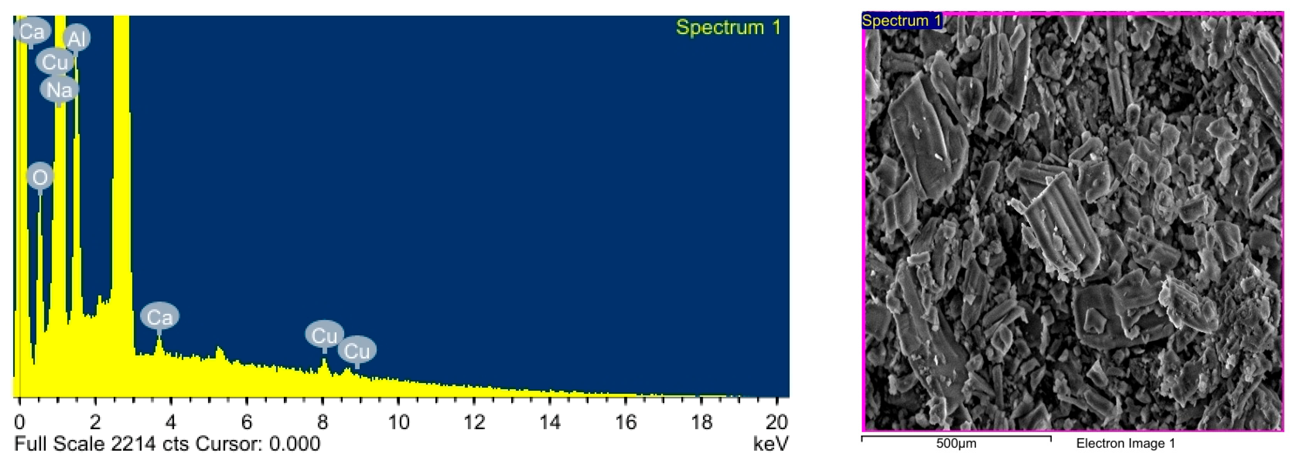 Biomolecules 15 00984 g003