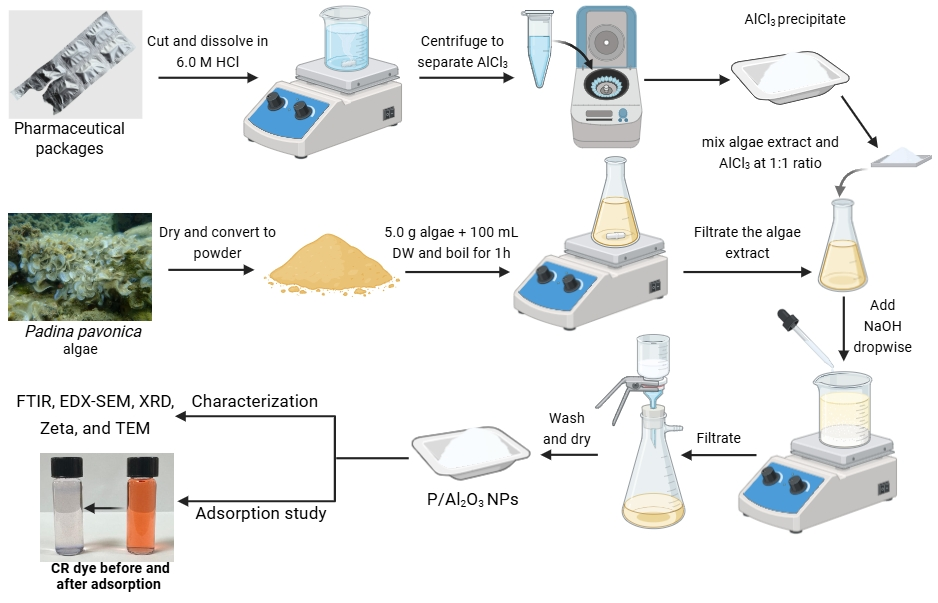 Biomolecules 15 00984 sch003