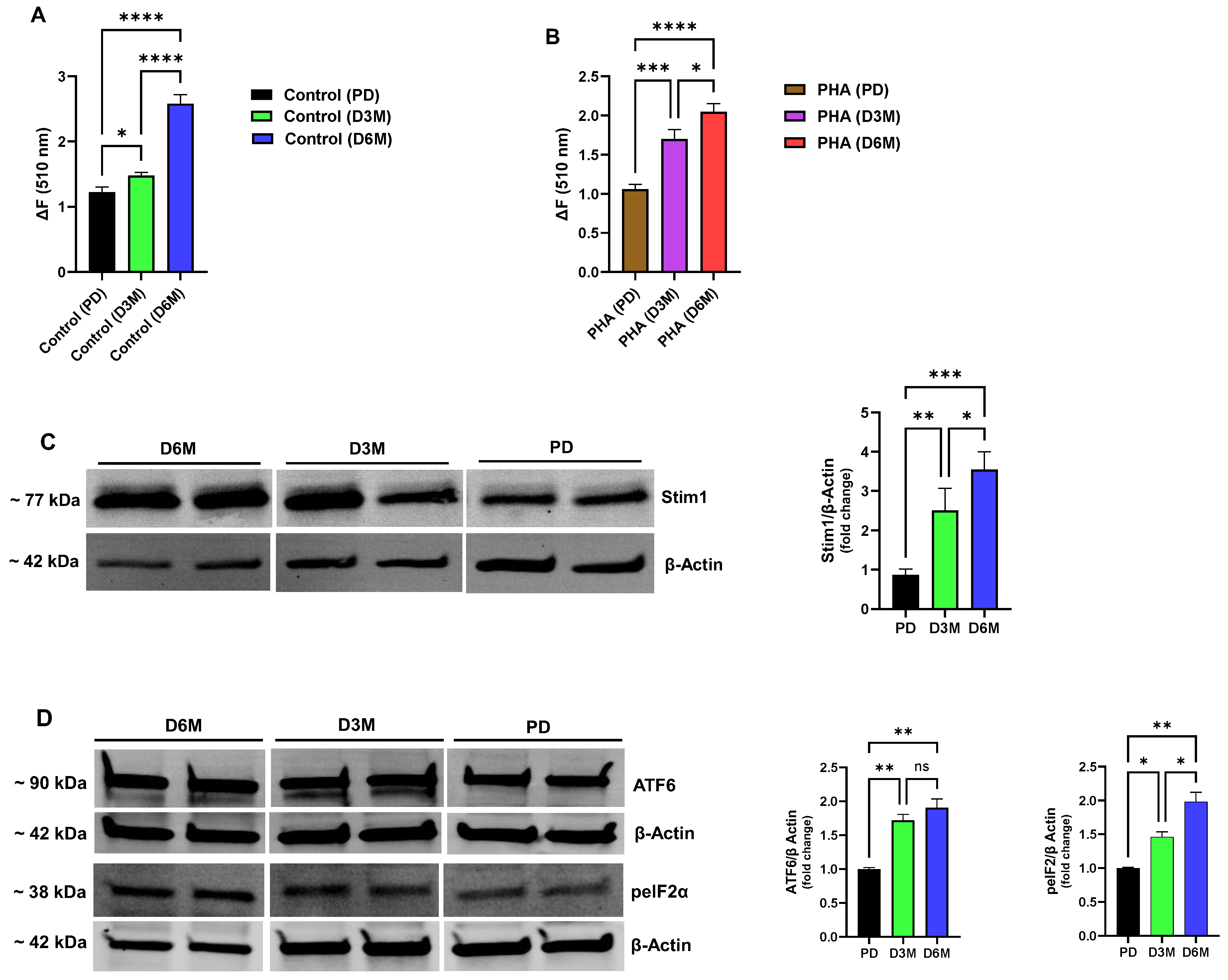 Biomolecules 15 00987 g003