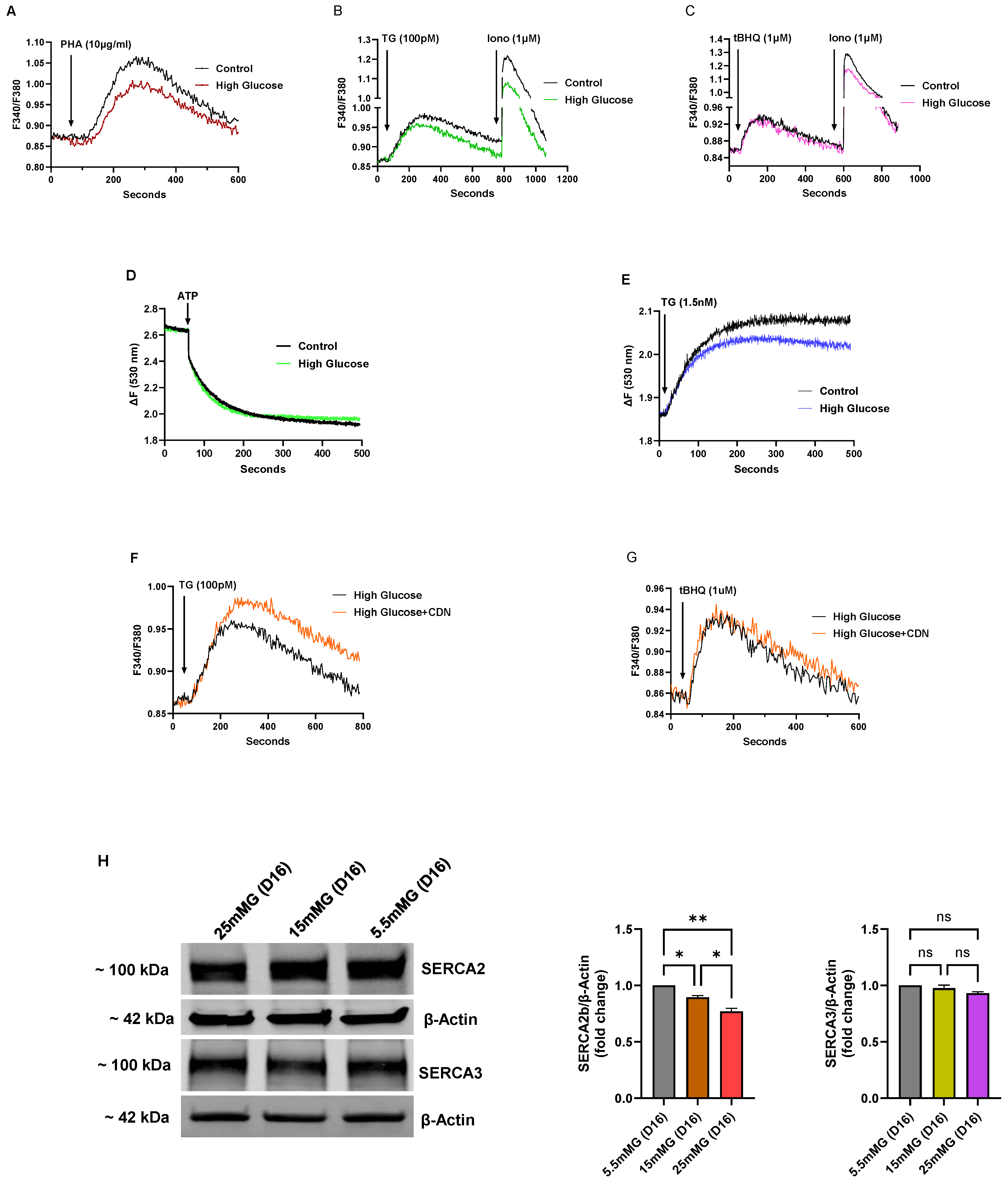 Biomolecules 15 00987 g005