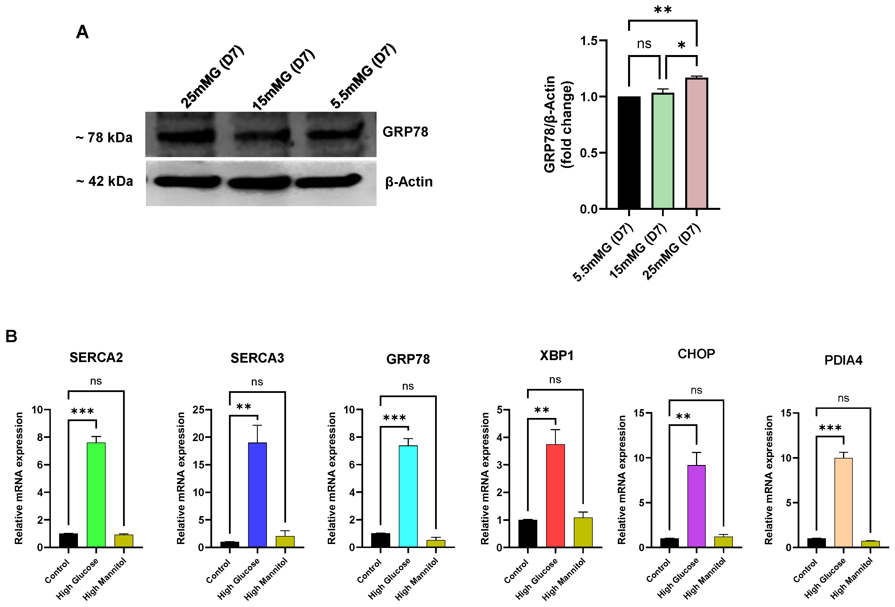 Biomolecules 15 00987 g006