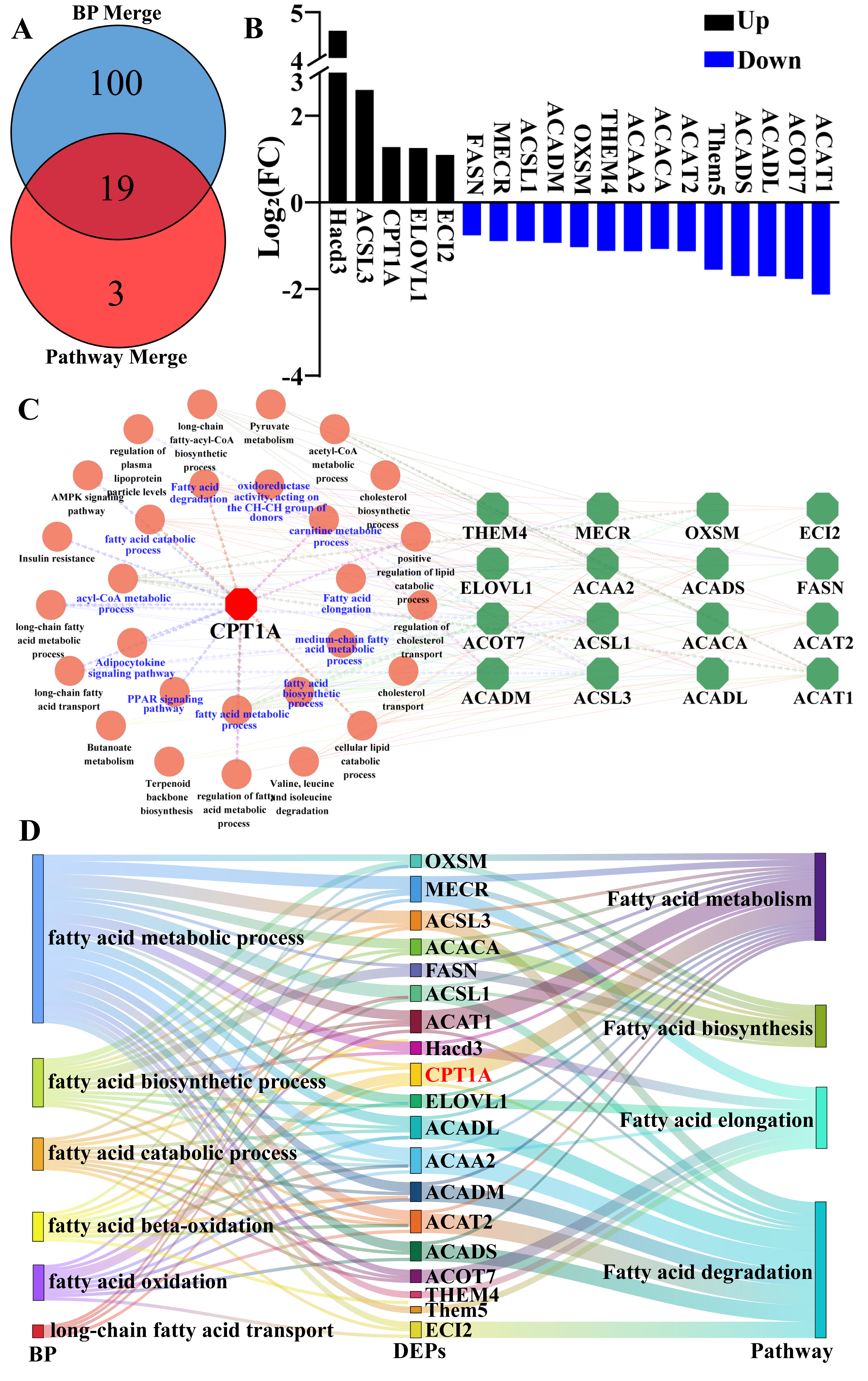 Biomolecules 15 00988 g004