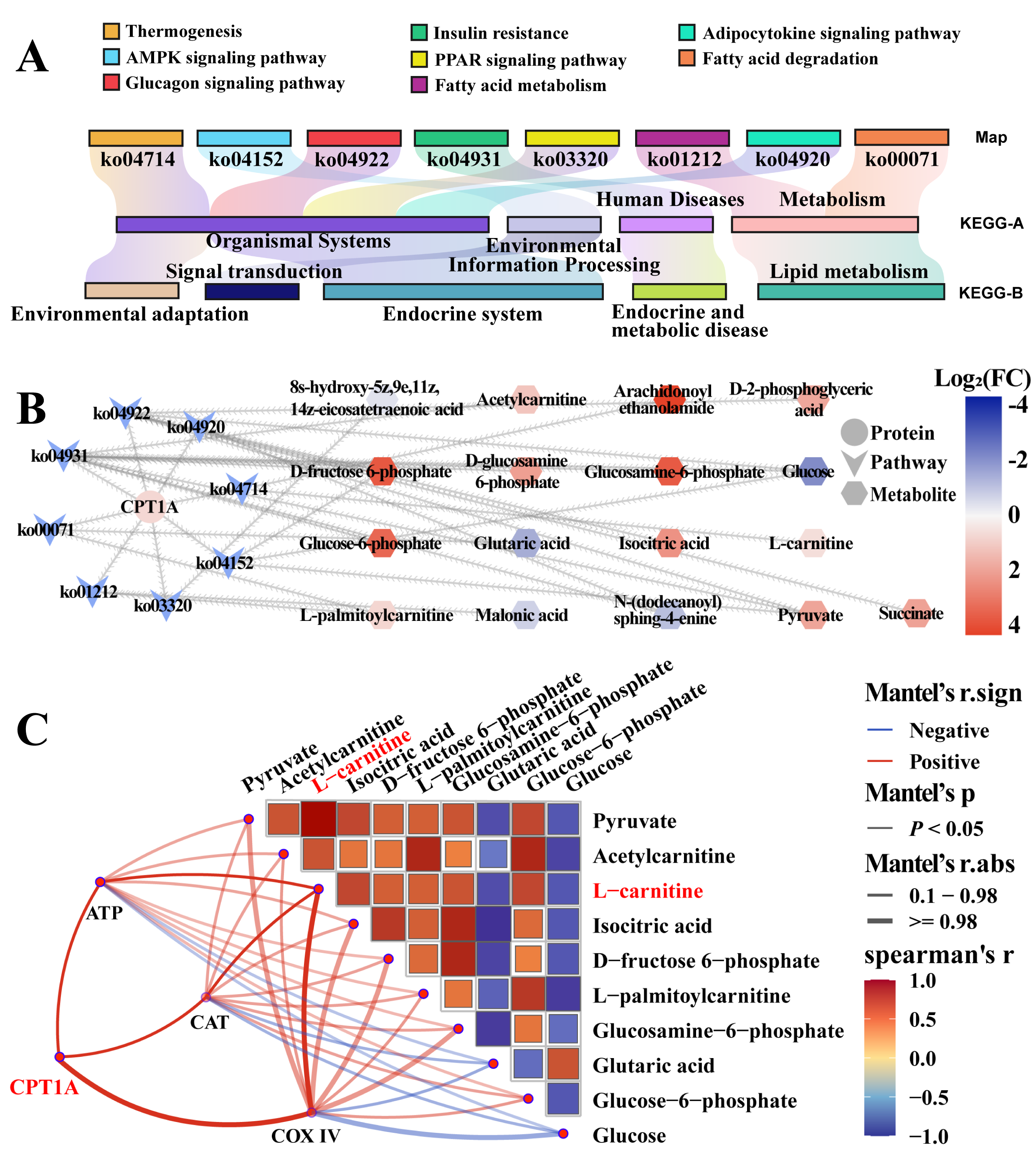 Biomolecules 15 00988 g005