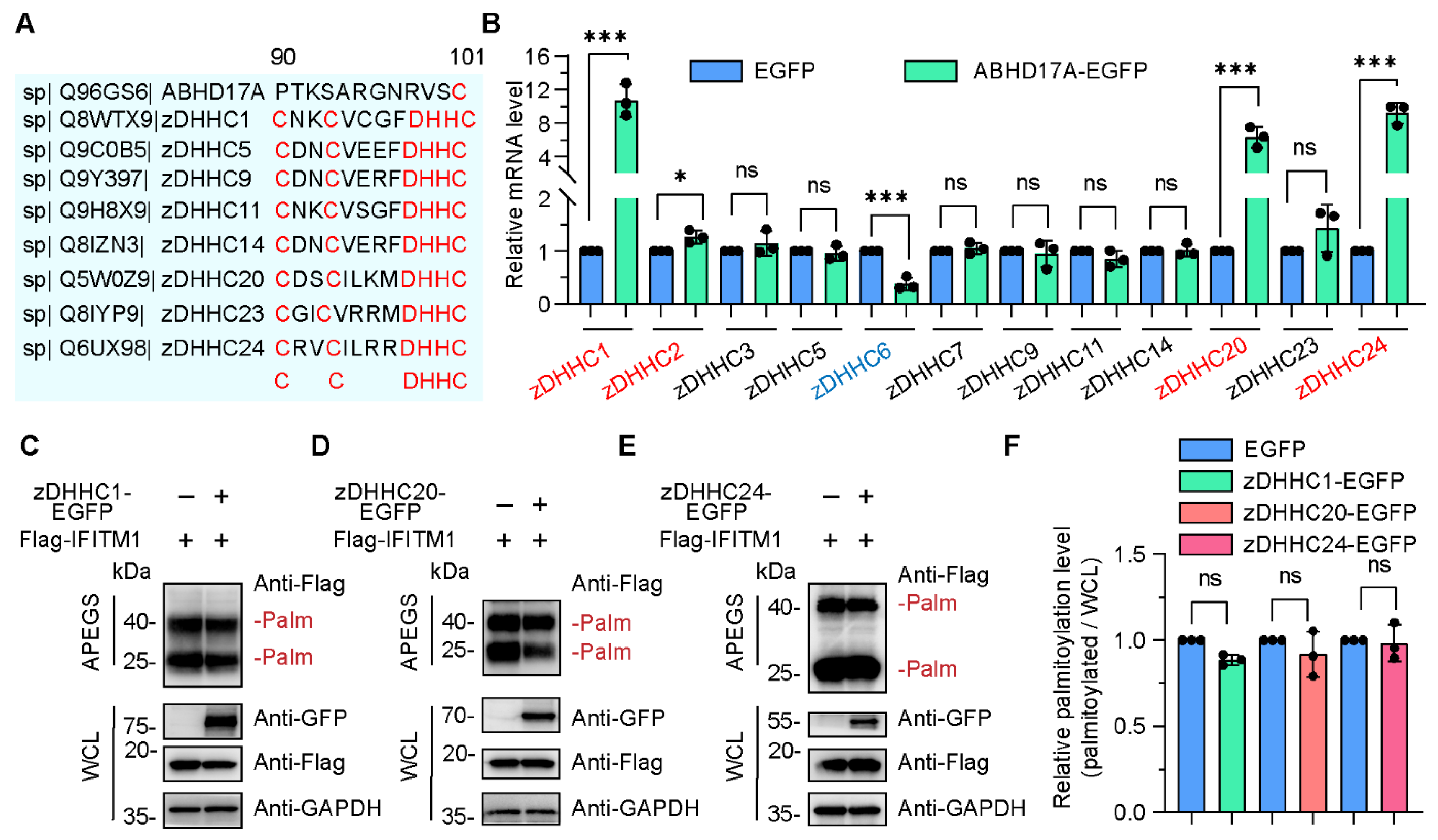 Biomolecules 15 00992 g003