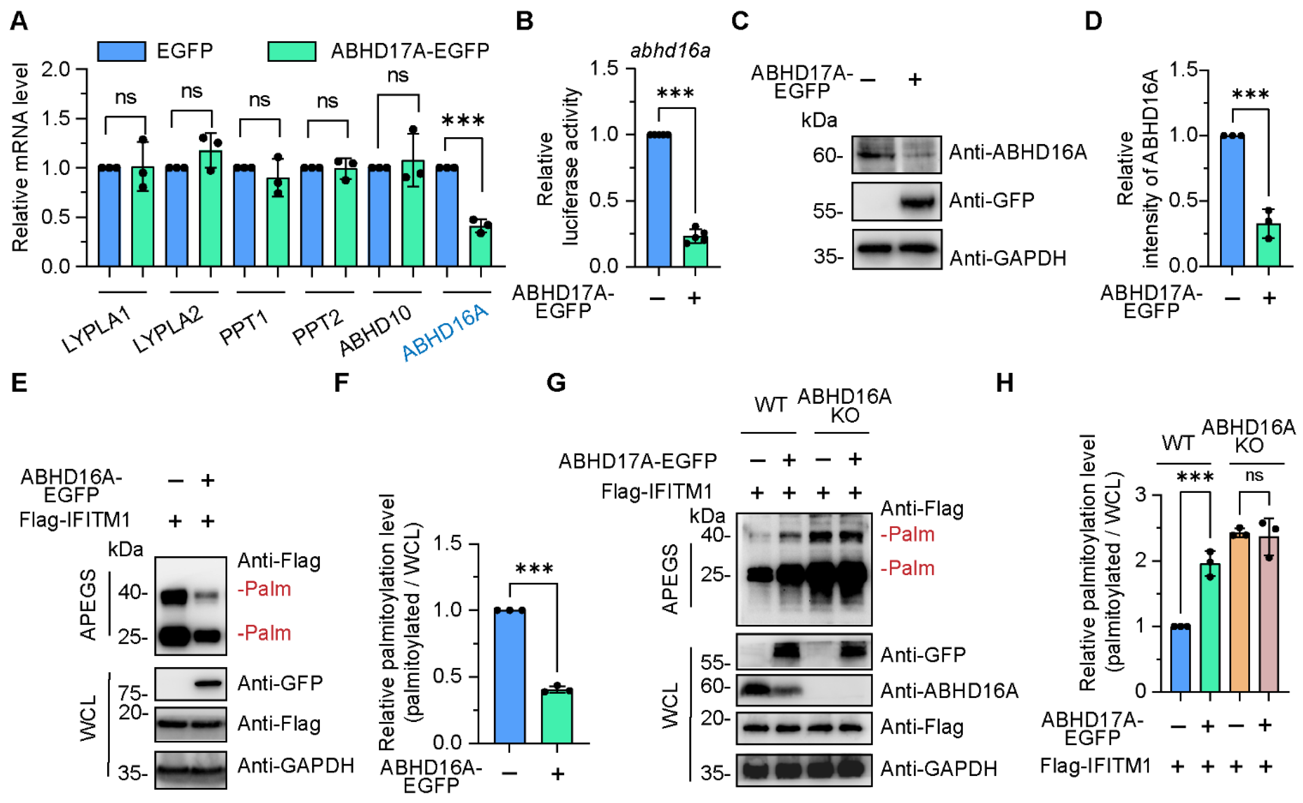 Biomolecules 15 00992 g004