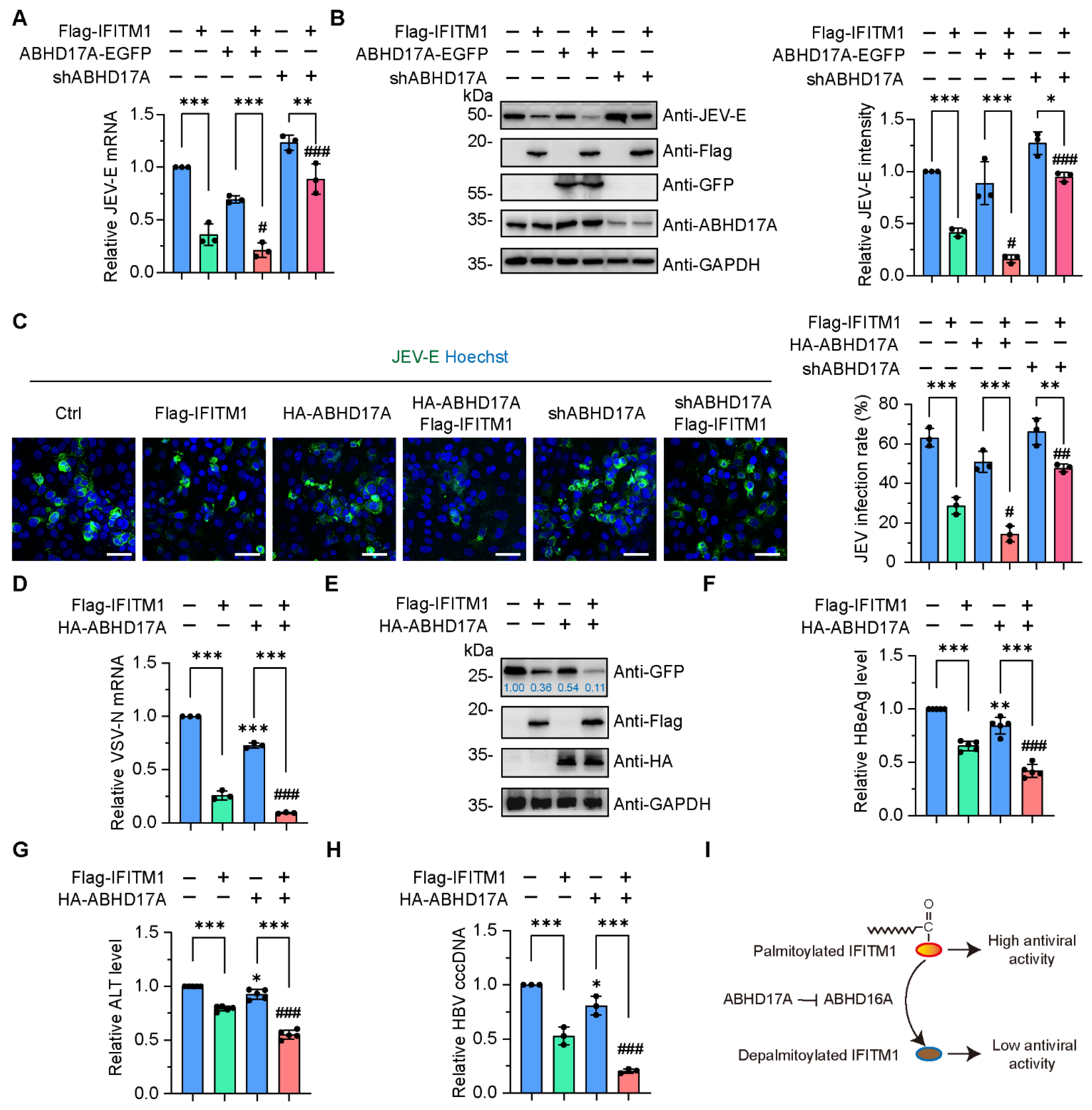 Biomolecules 15 00992 g005