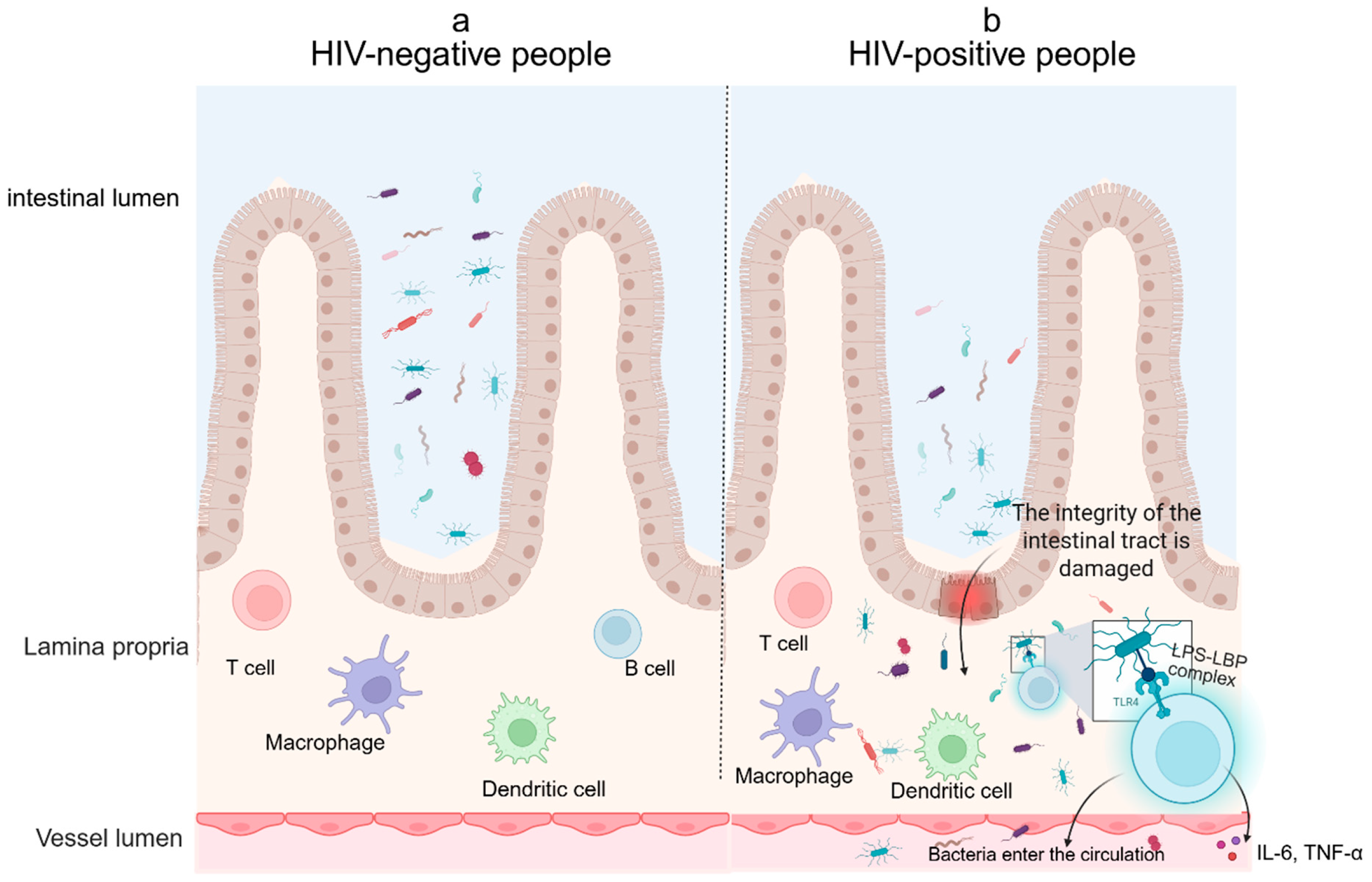 Biomolecules 15 00993 g003 Biomolecules 15 00993 g003