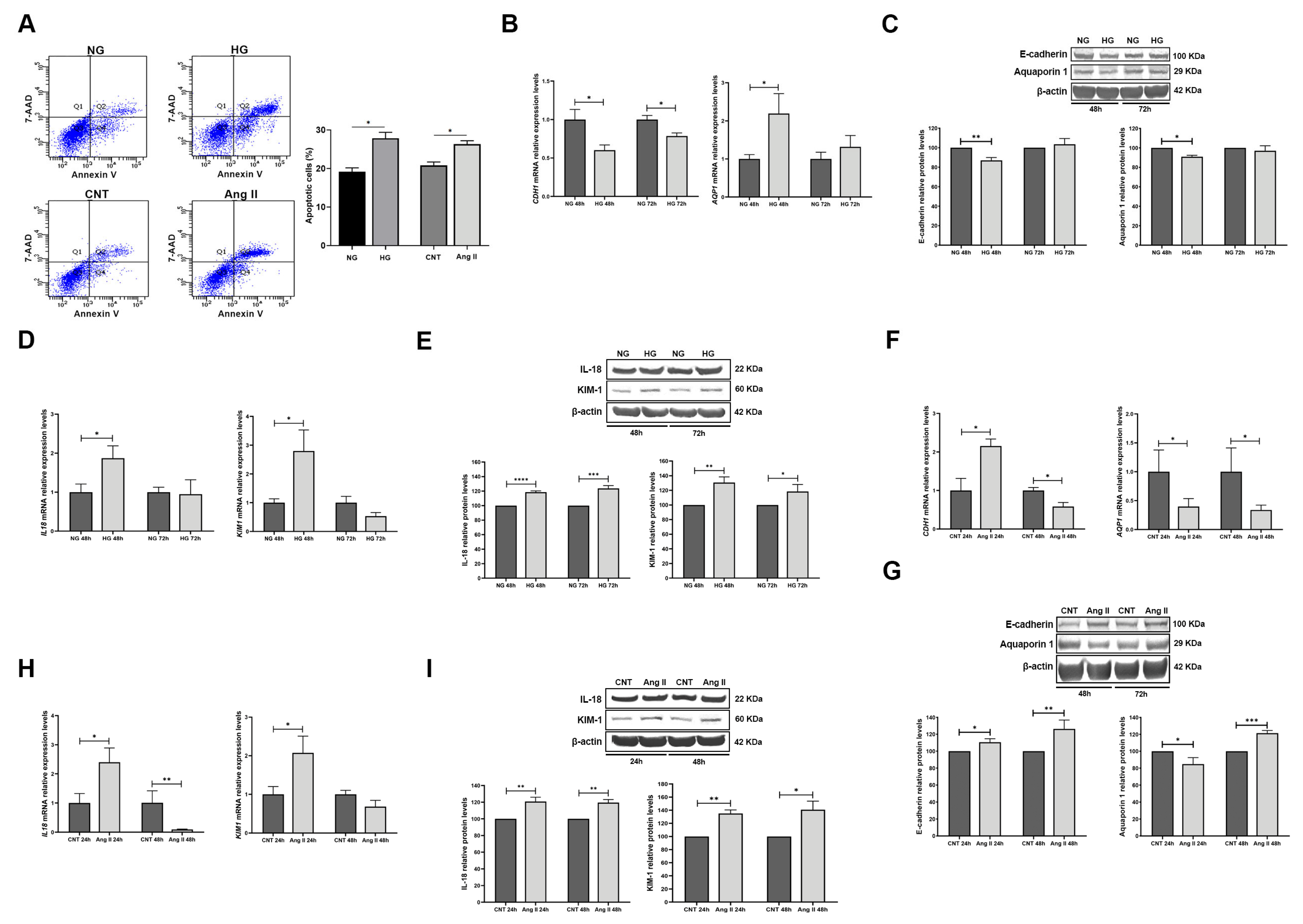 Biomolecules 15 00995 g002