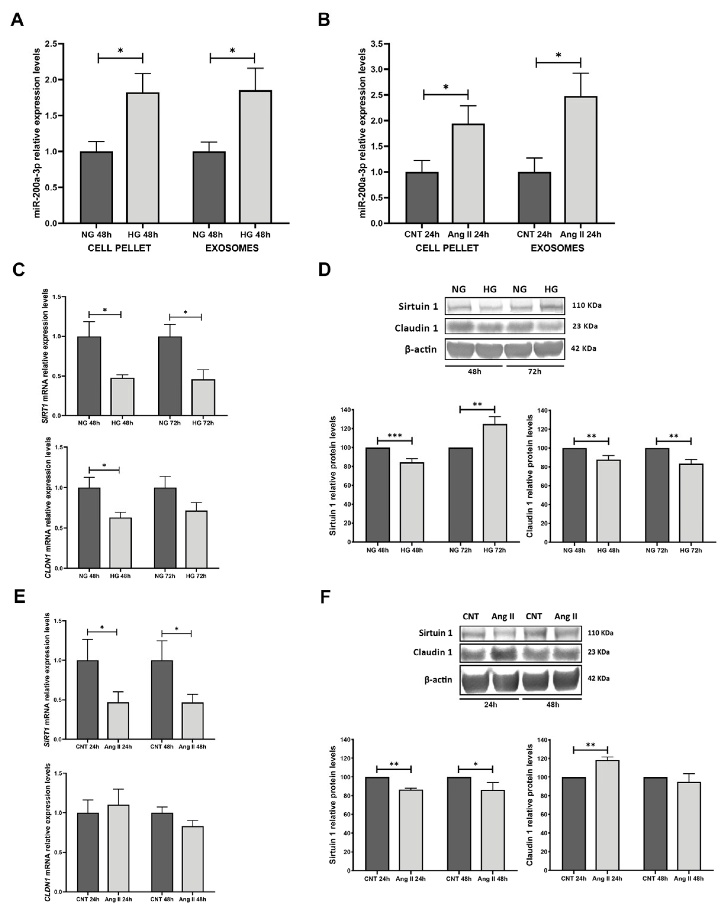 Biomolecules 15 00995 g003