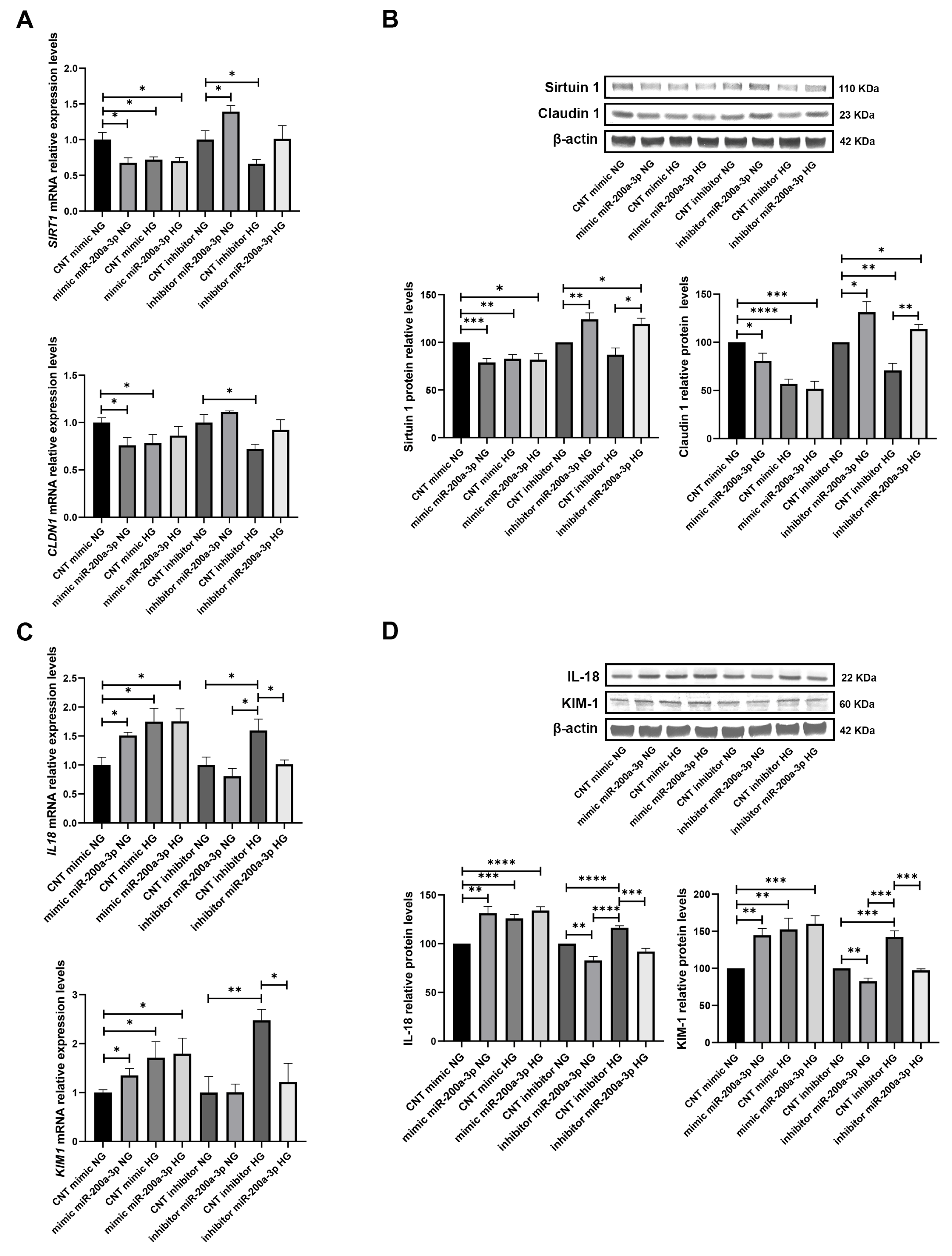 Biomolecules 15 00995 g004