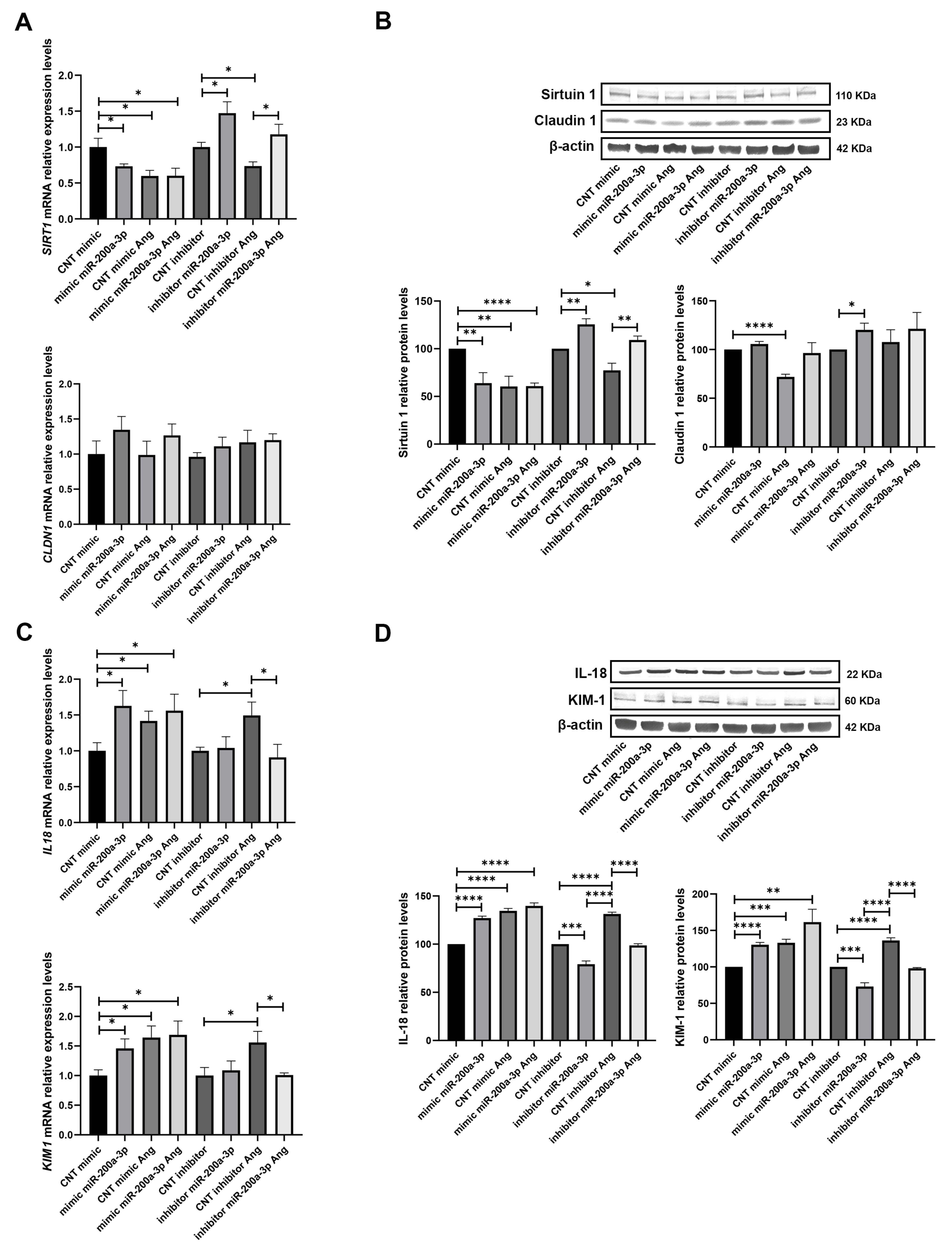 Biomolecules 15 00995 g005