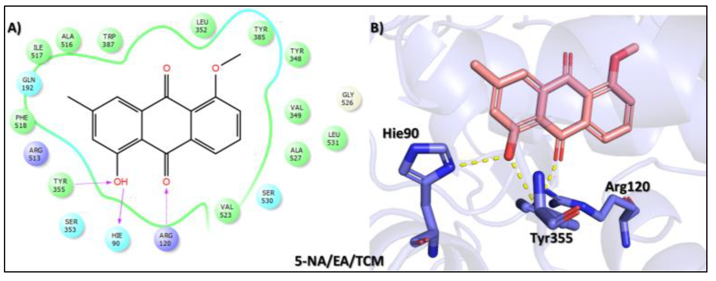 Biomolecules 15 00998 g006 Biomolecules 15 00998 g006