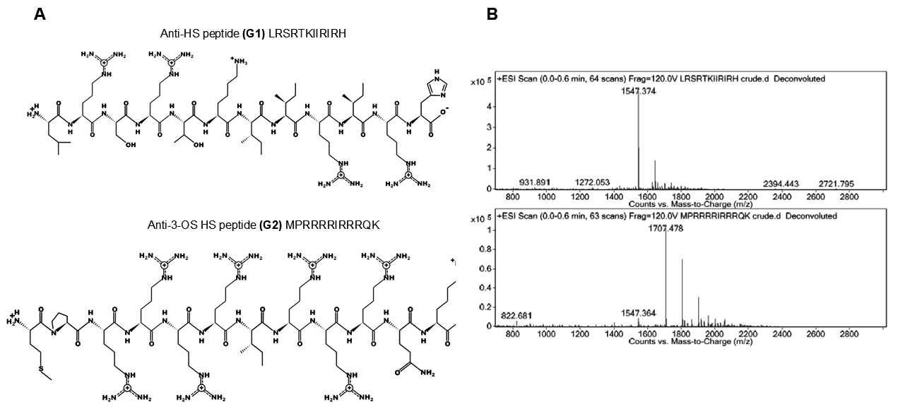 Biomolecules 15 00999 g001