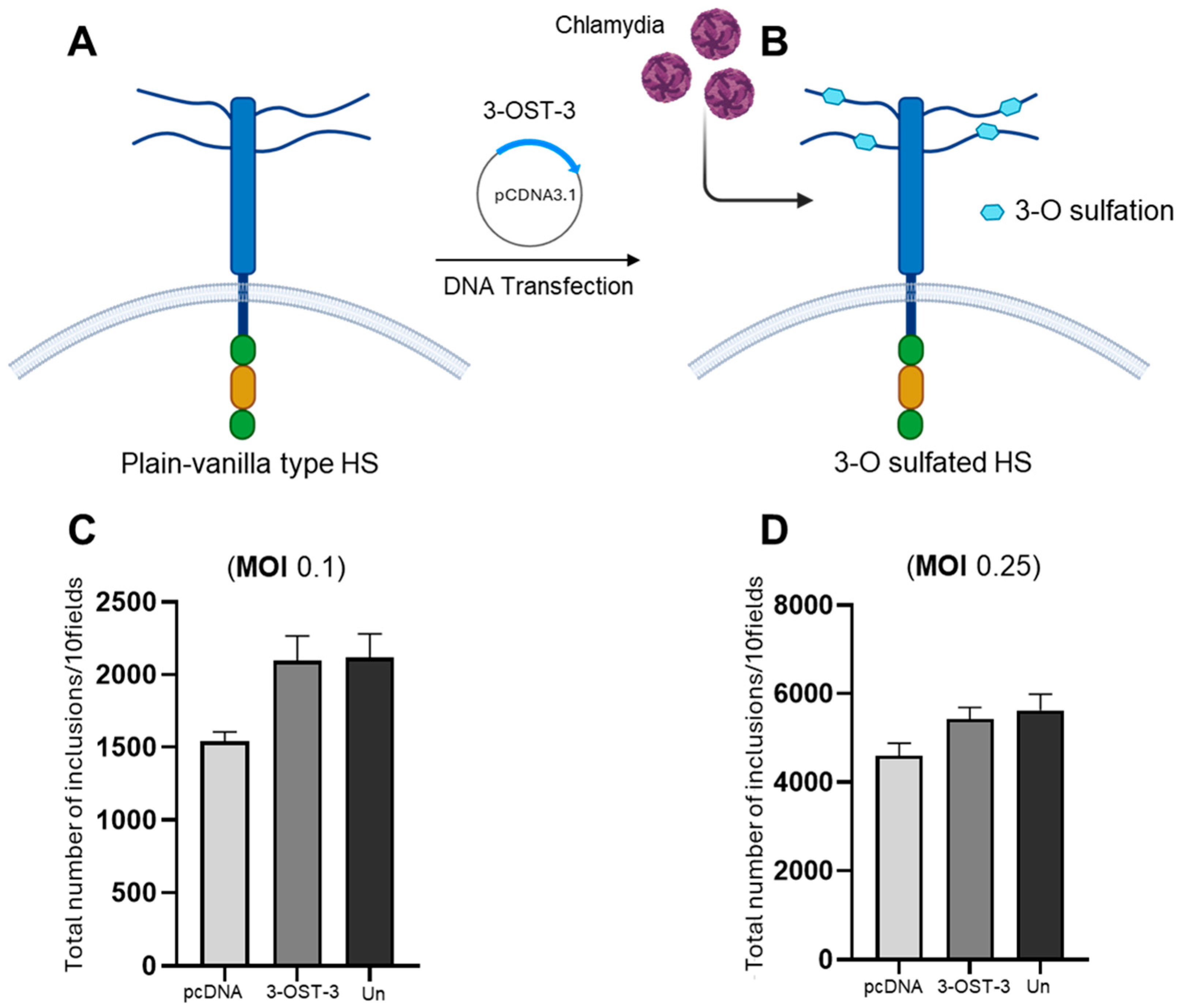 Biomolecules 15 00999 g002