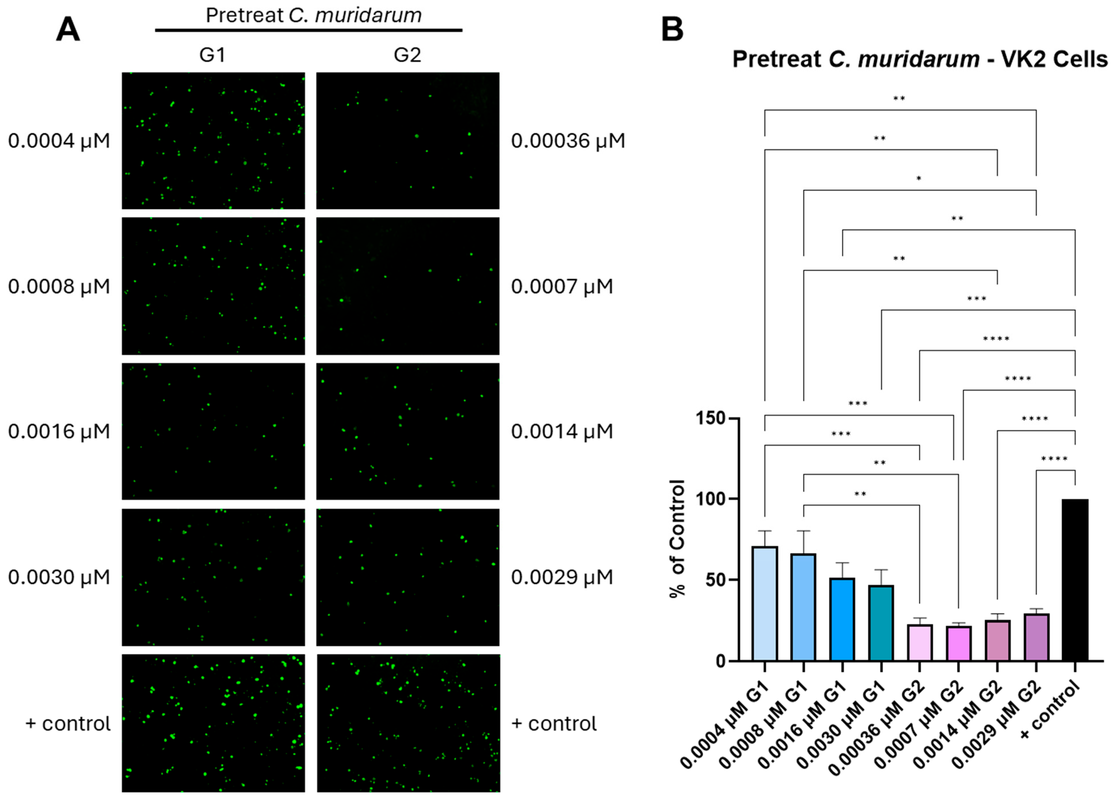 Biomolecules 15 00999 g004