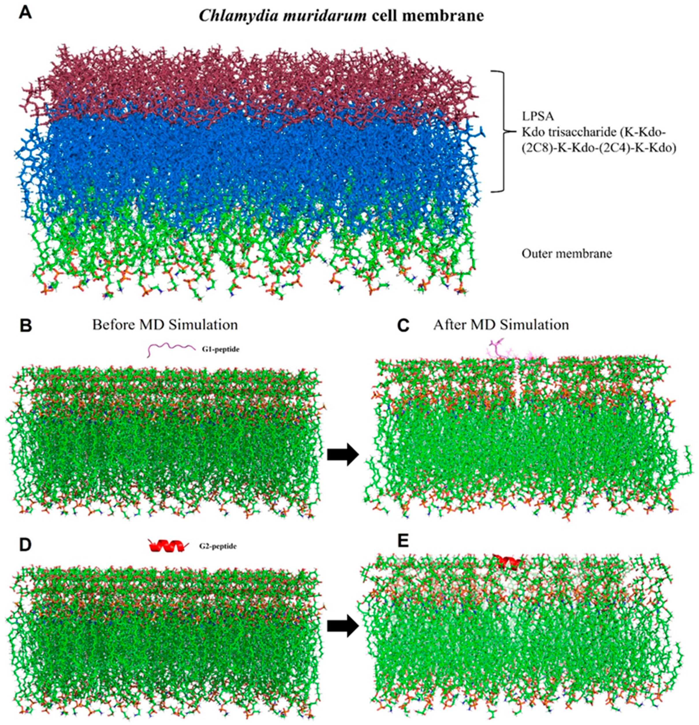 Biomolecules 15 00999 g005