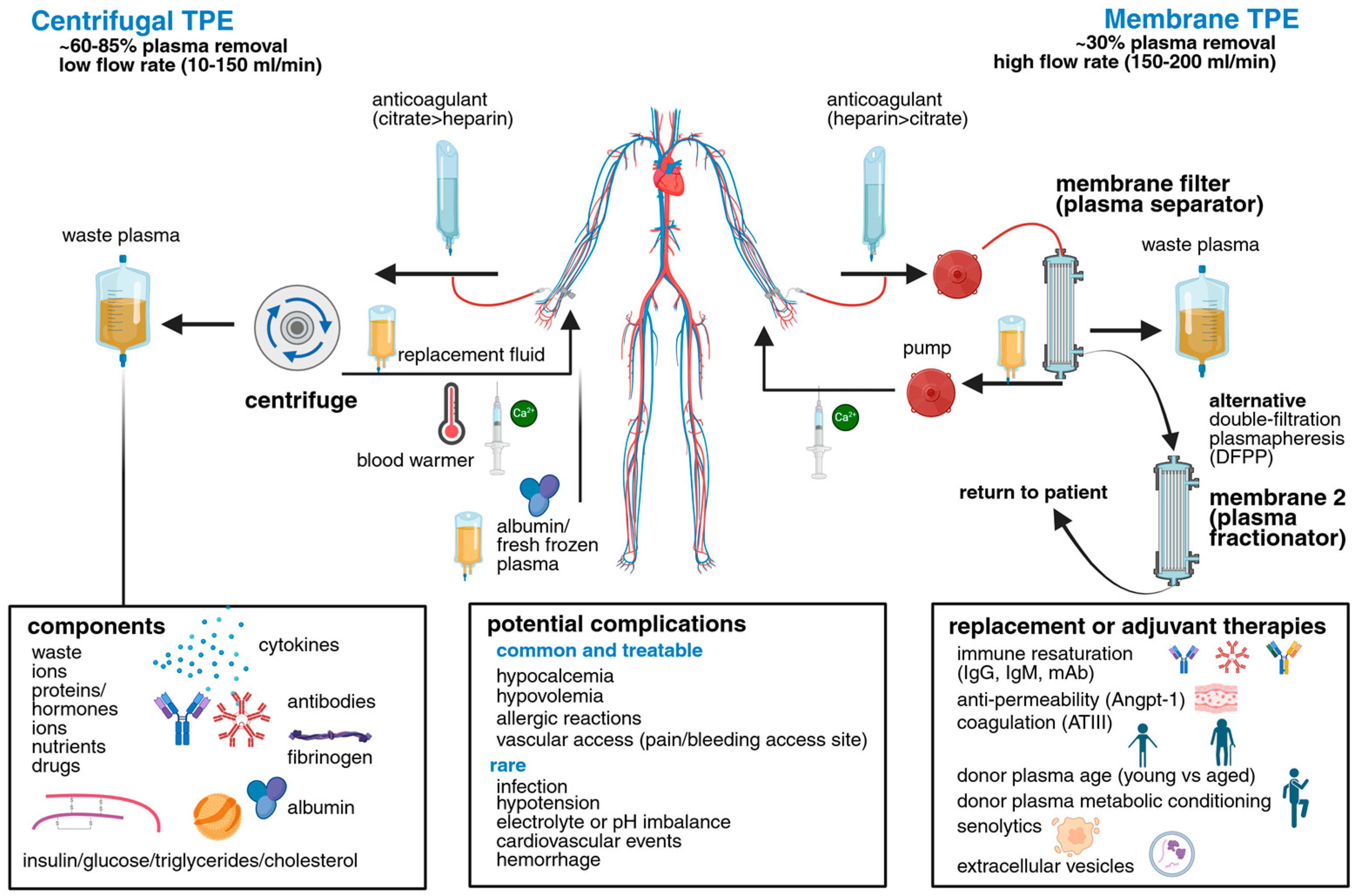 Biomolecules 15 01000 g001