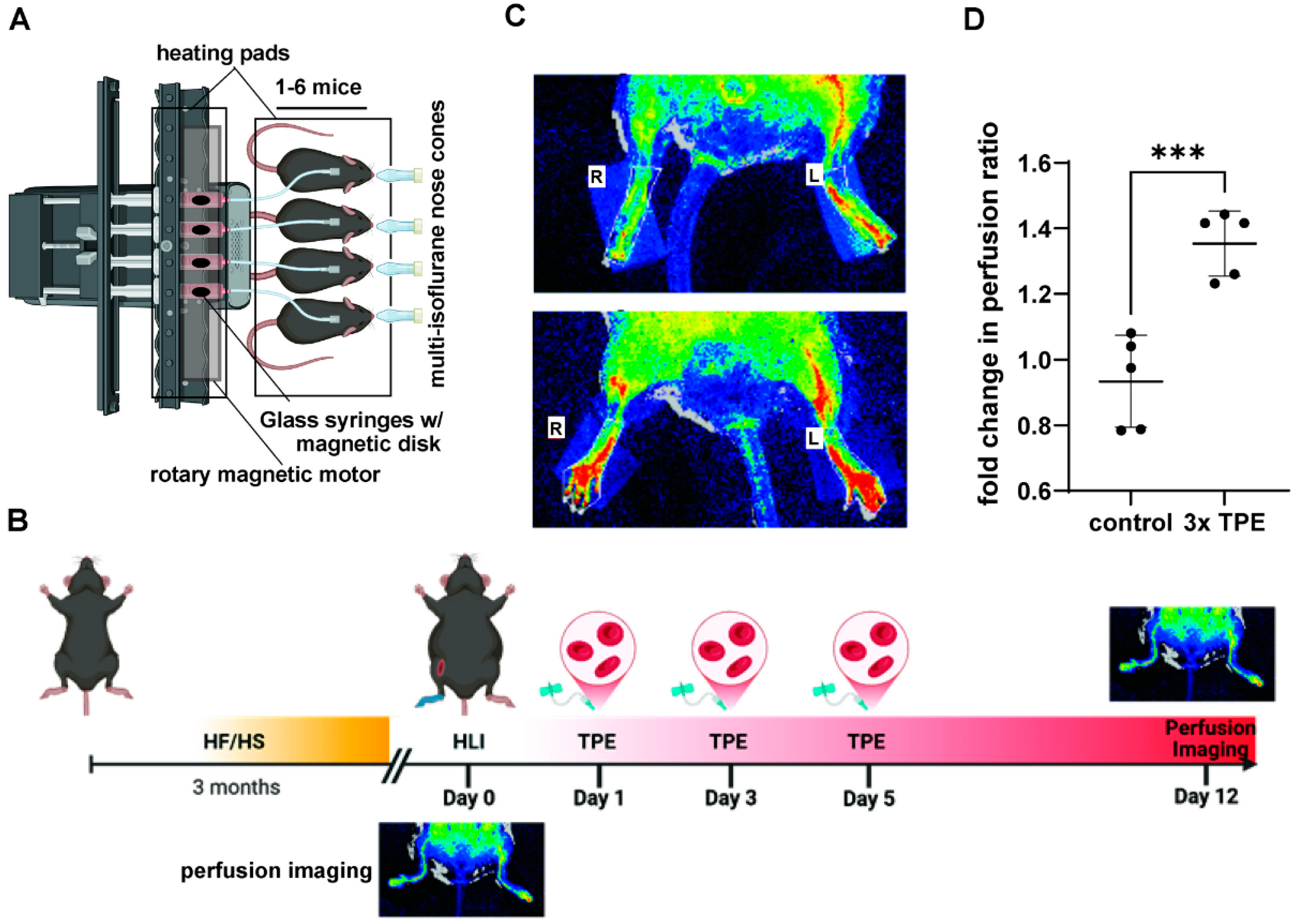 Biomolecules 15 01000 g004